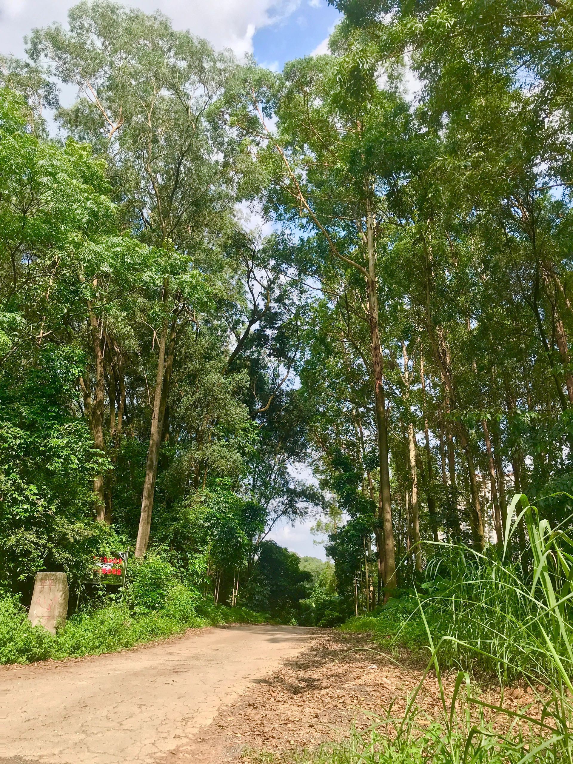 仙湖度假区旅行图片 2