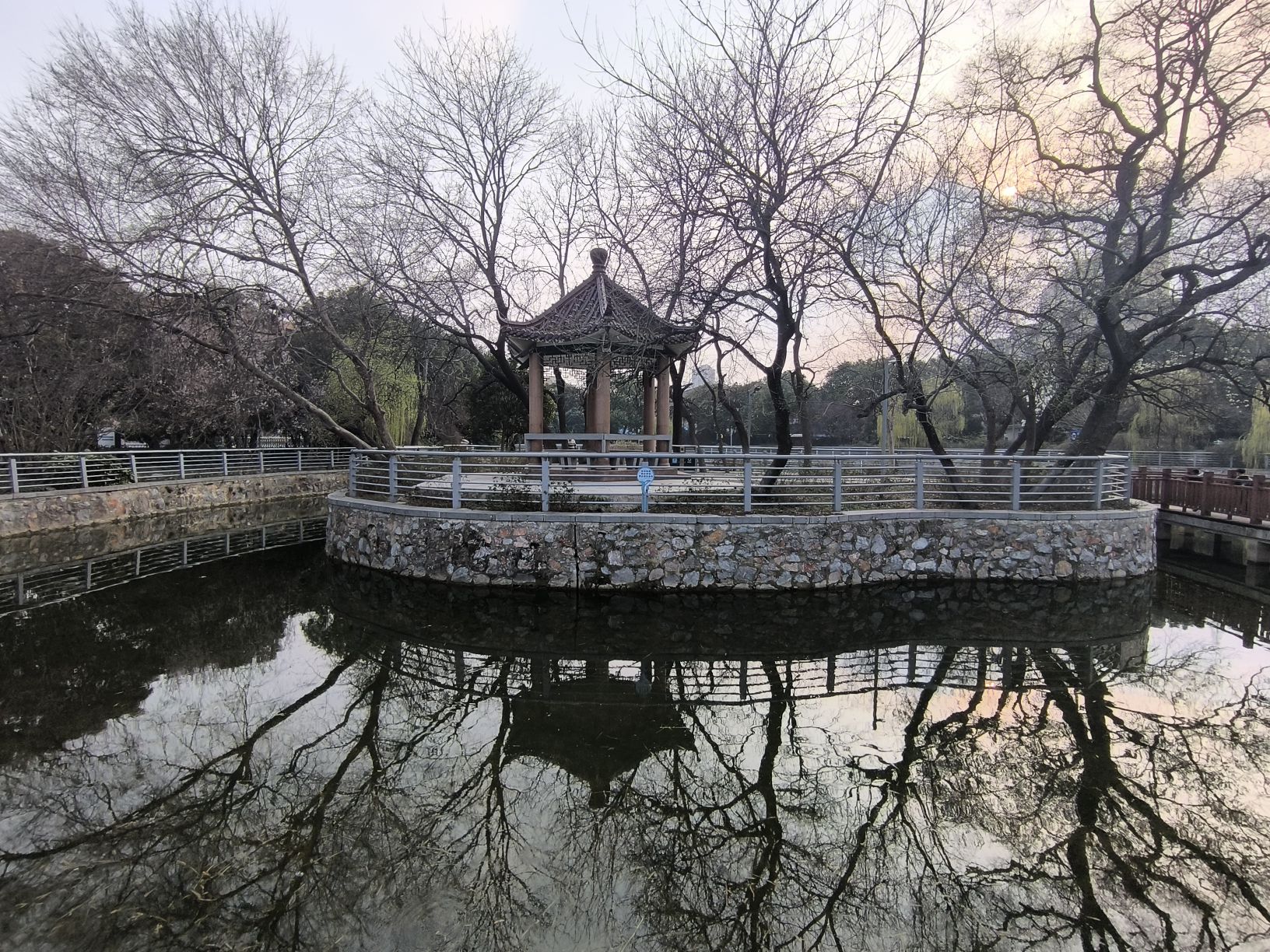莲心湖公园旅行图片 1
