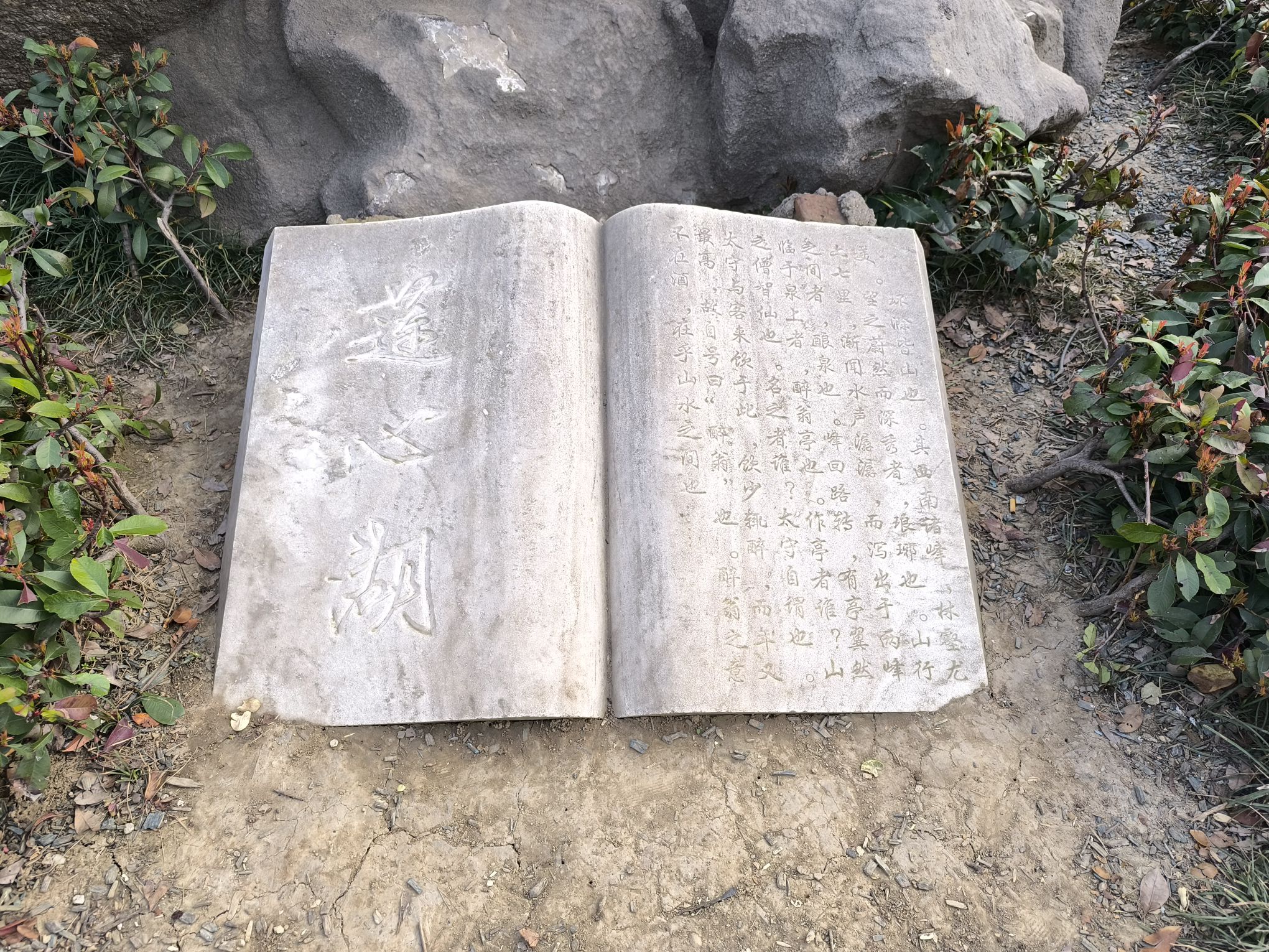 莲心湖公园旅行图片 3
