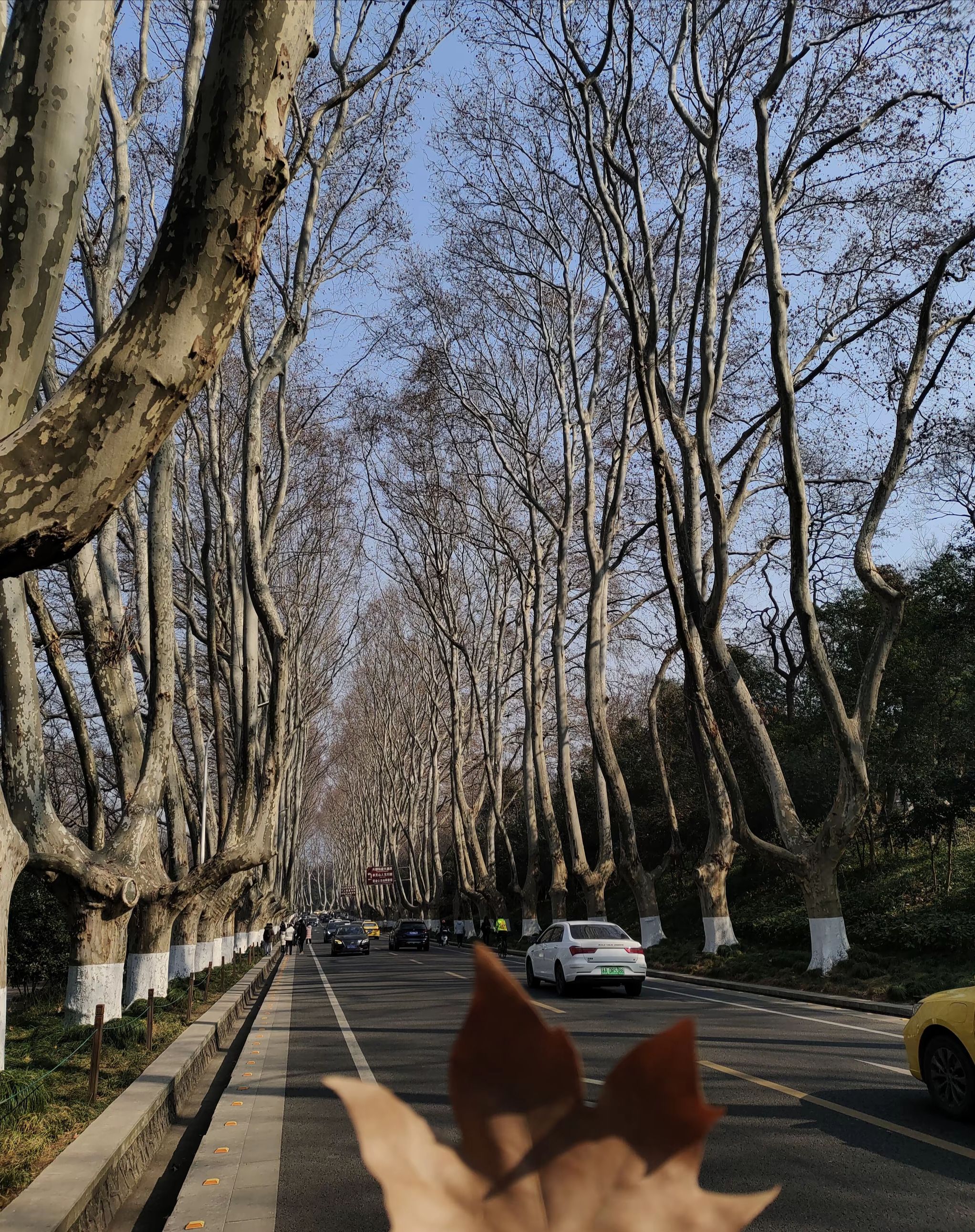 鄢陵千亩湖旅行图片 1