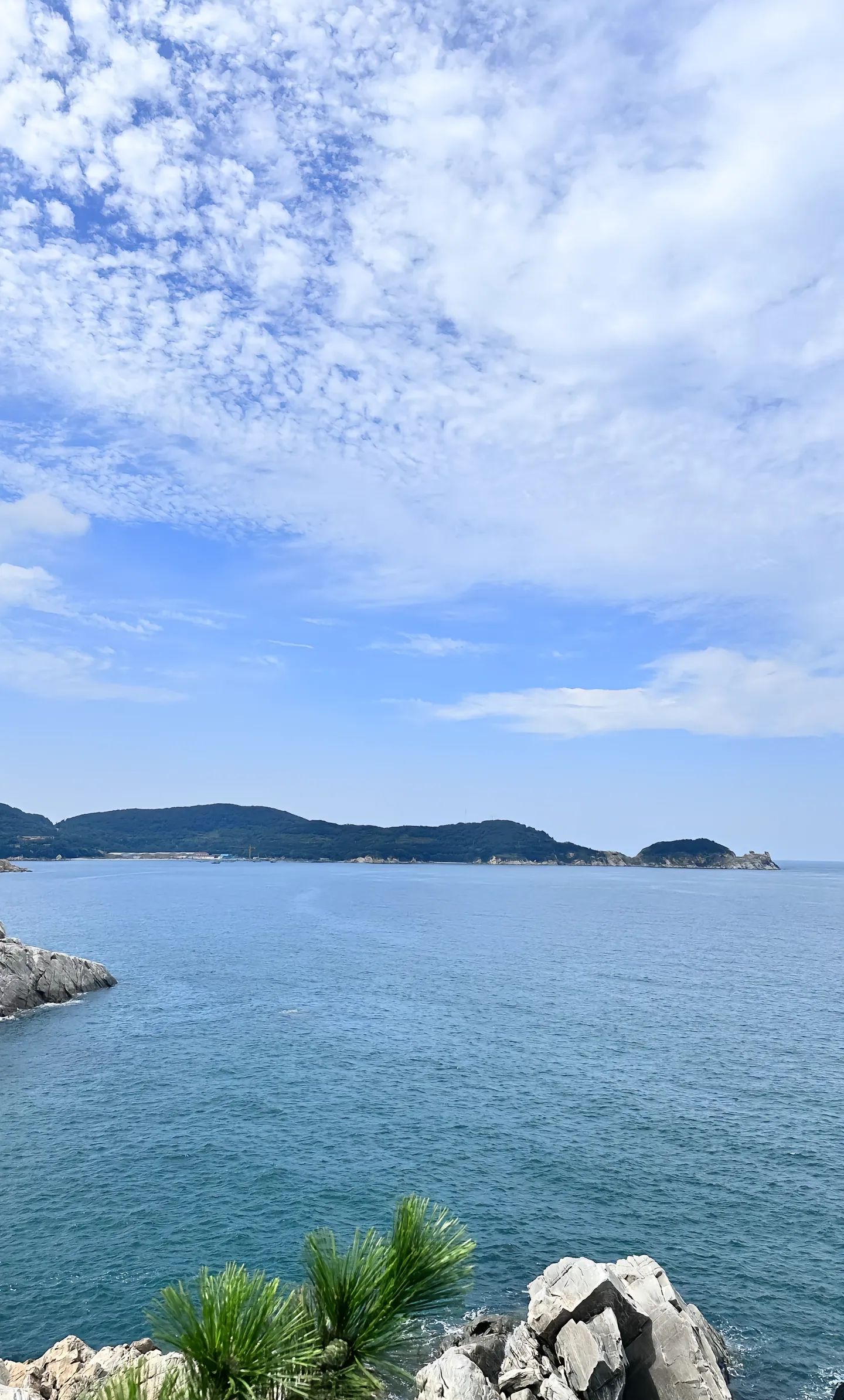 鄢陵千亩湖旅行图片 3