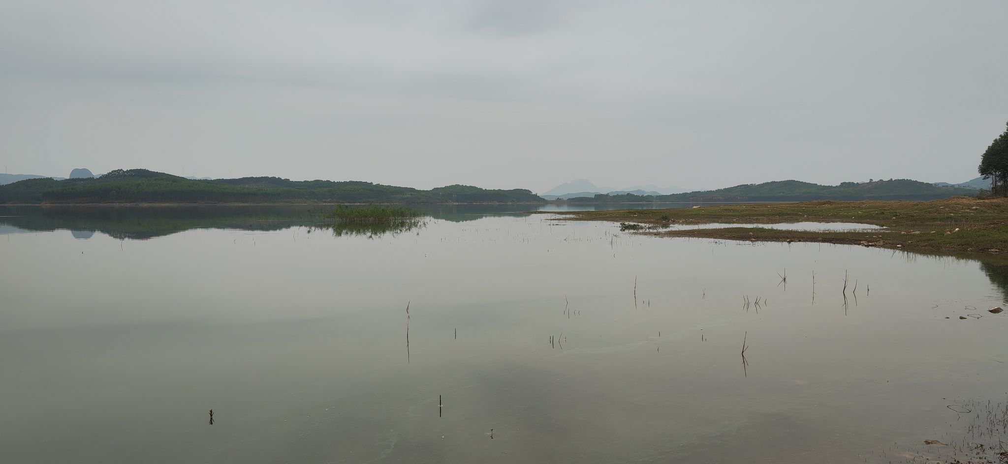 太平安乐湖旅行图片 3