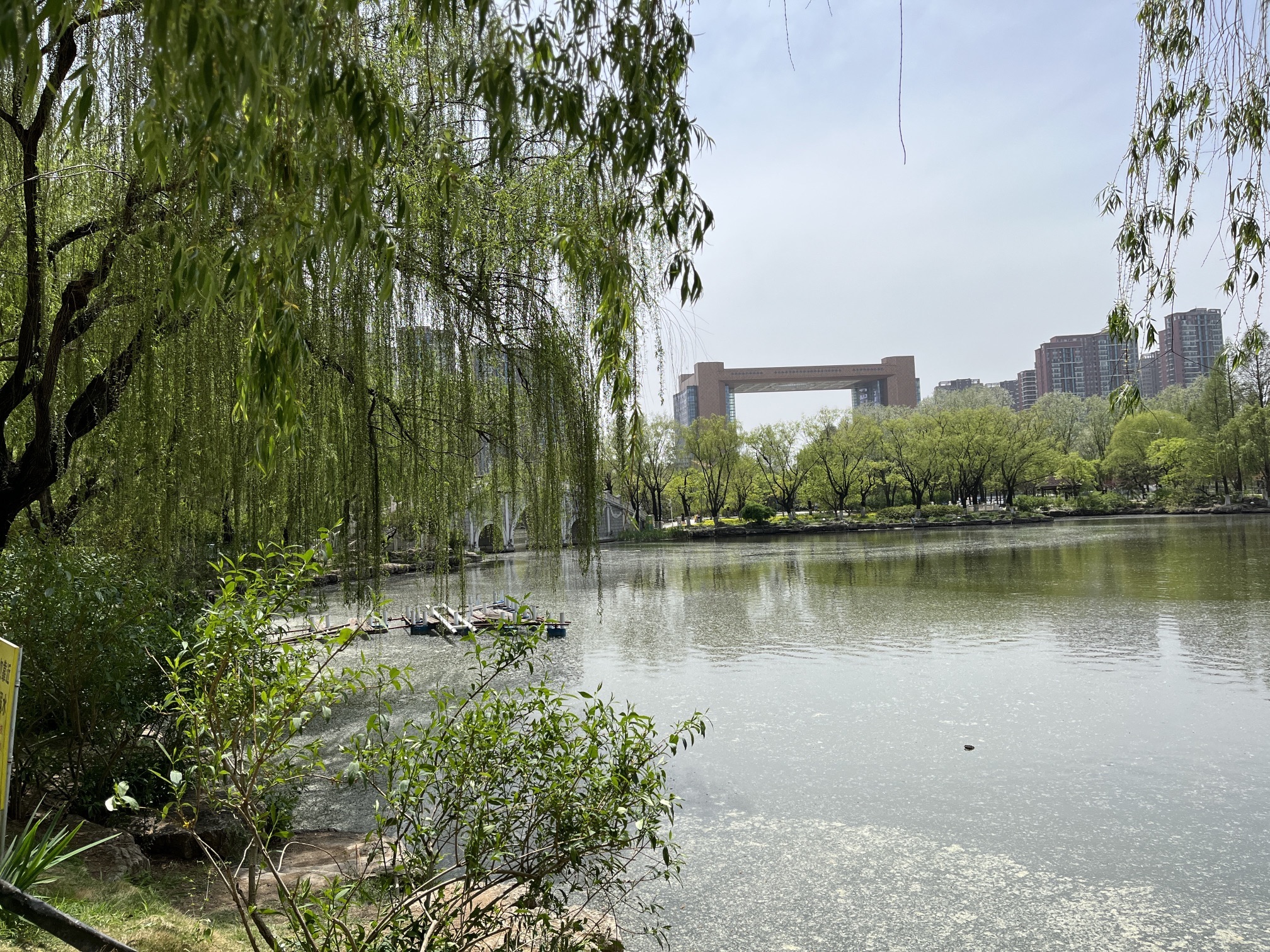 五洲湖旅行图片 3