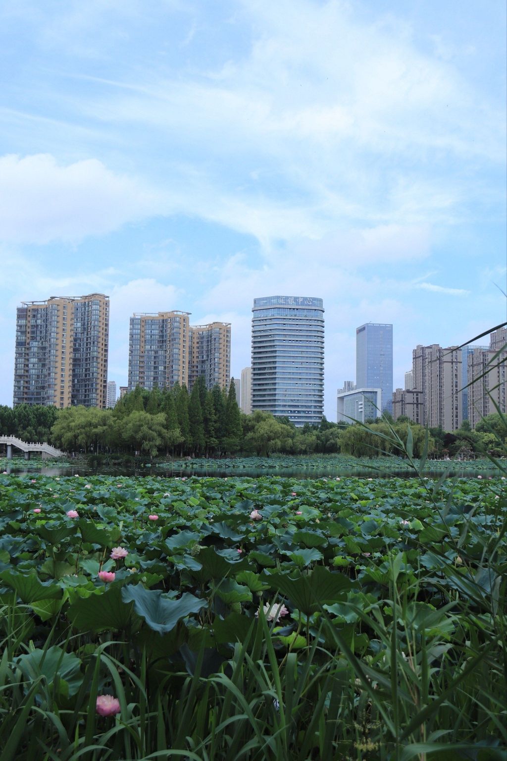五洲湖旅行图片 1
