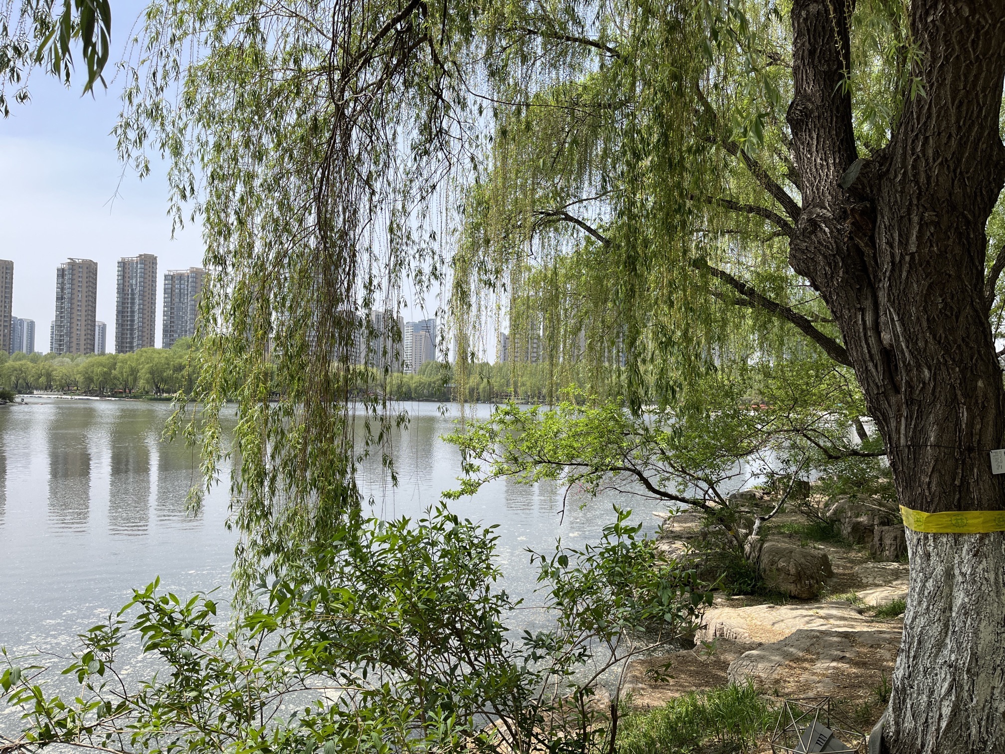 五洲湖旅行图片 1
