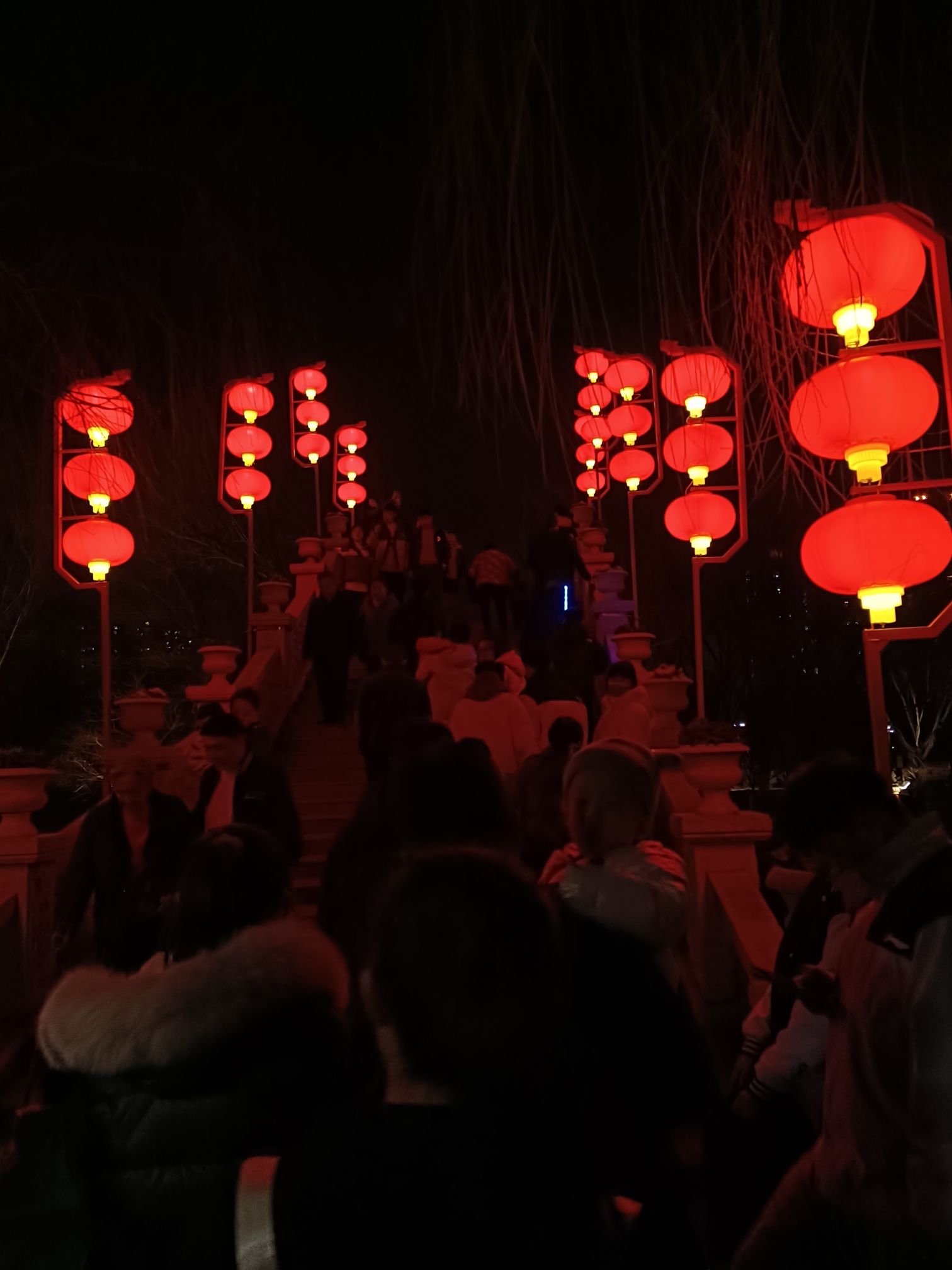 五洲湖旅行图片 2