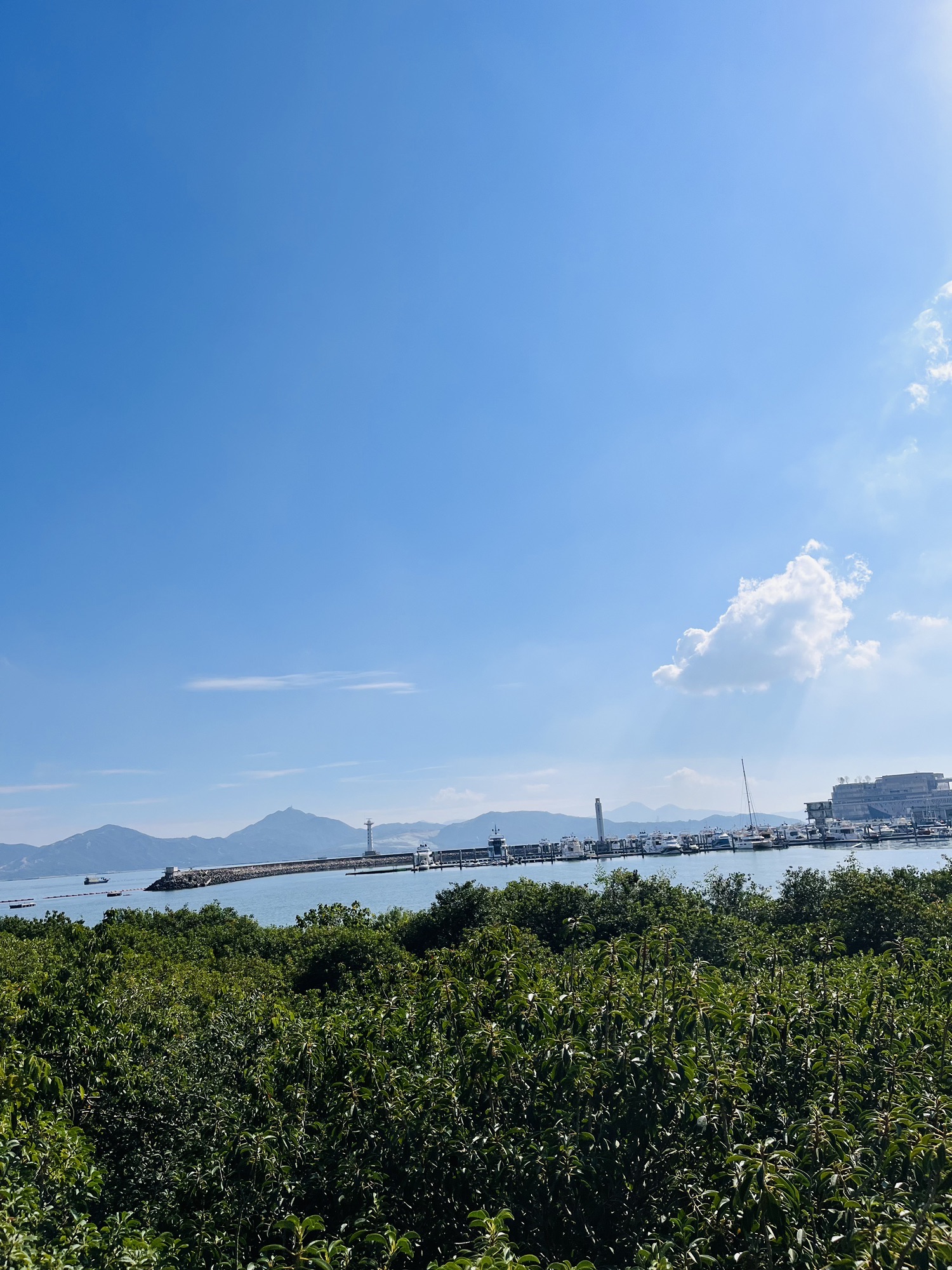 女娲滨海公园旅行图片 3