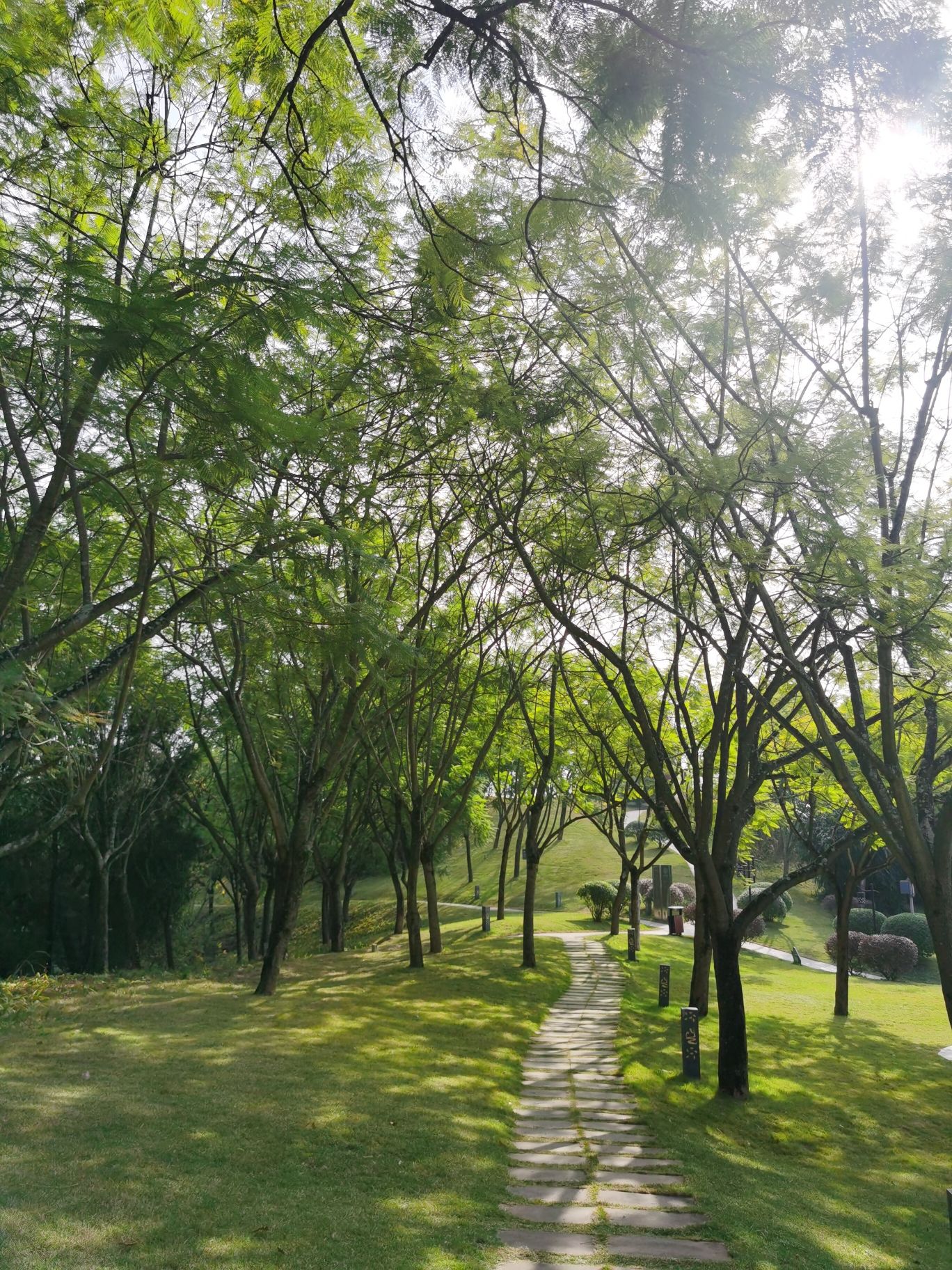 简阳鳌山公园旅行图片 1