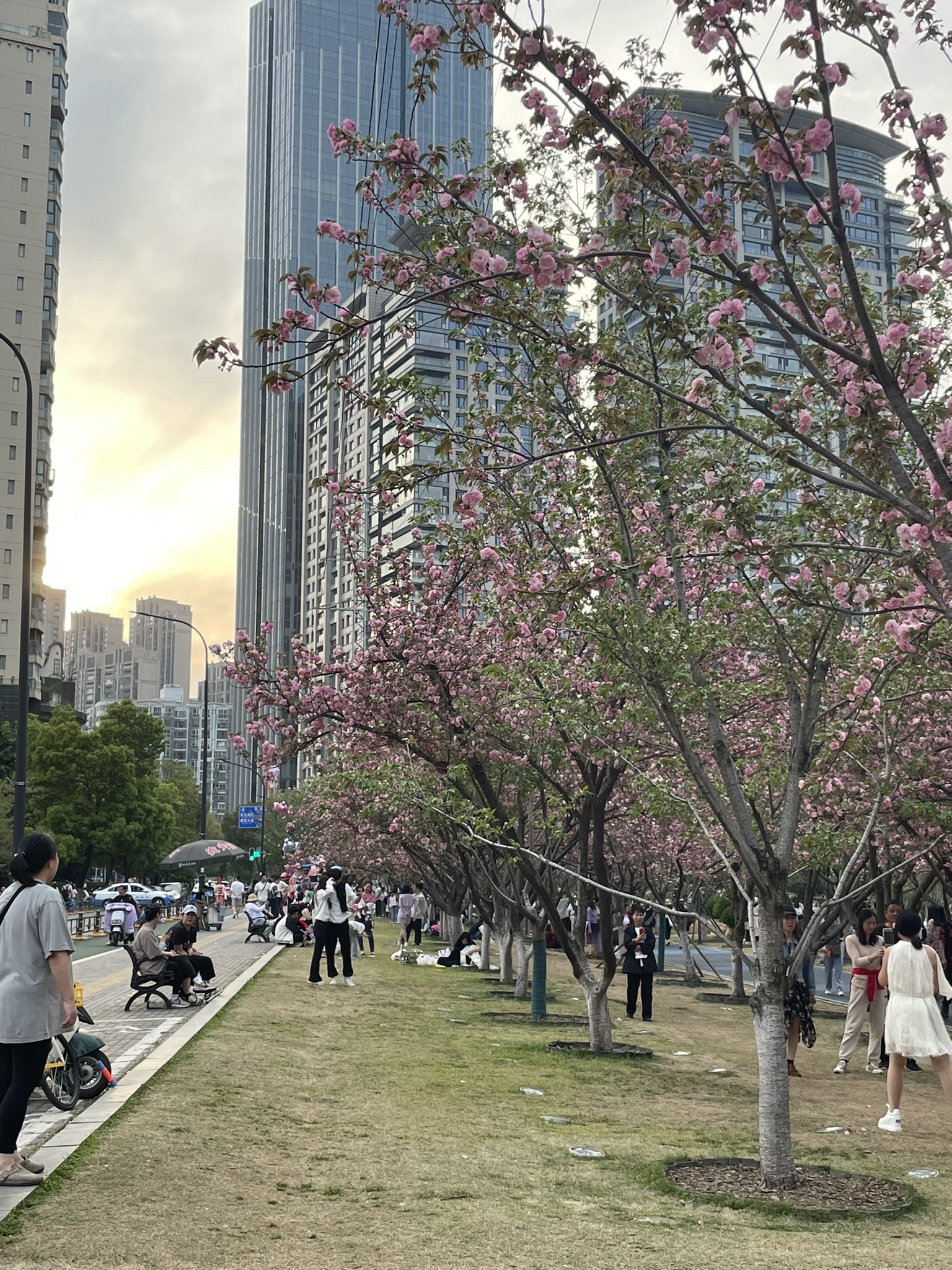 西北湖广场旅行图片 3