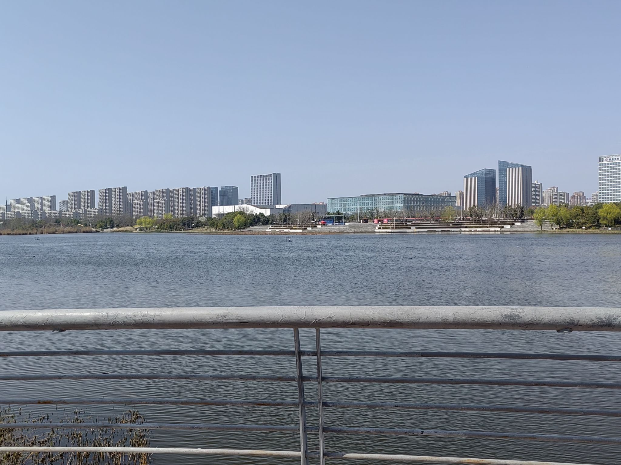 阜阳双清湾公园旅行图片 1