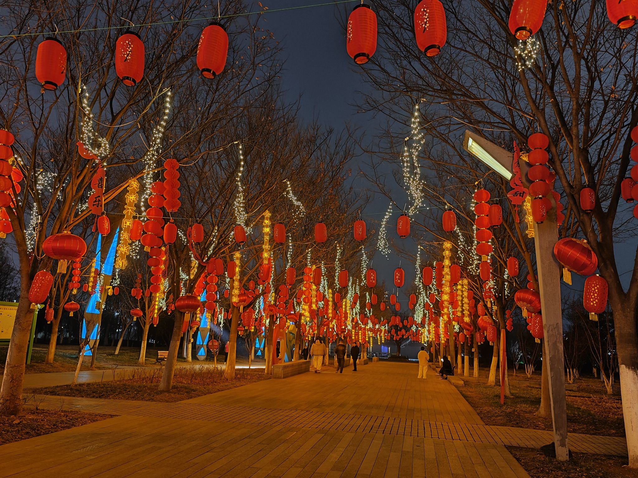 阜阳双清湾公园旅行图片 1
