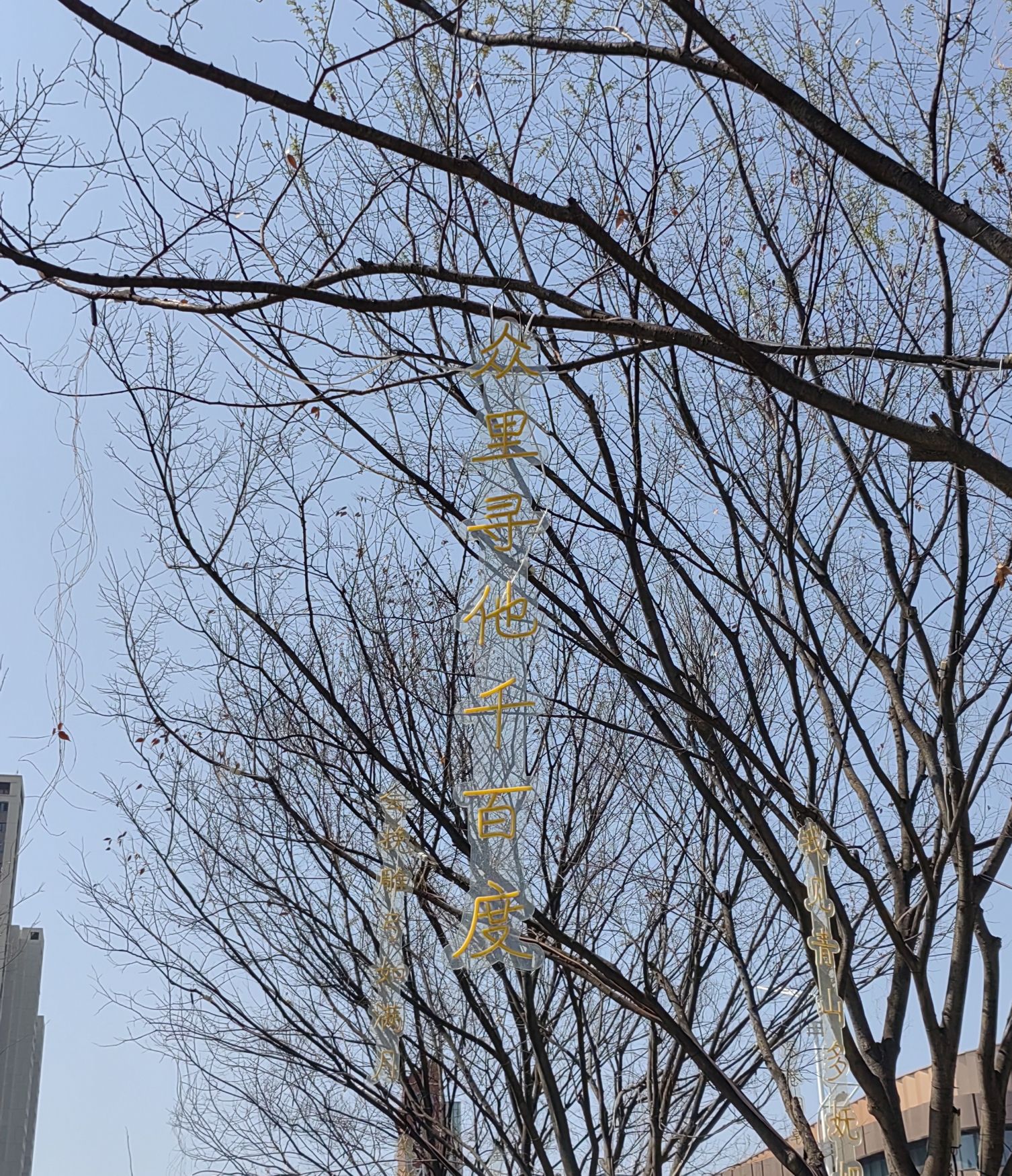 阜阳双清湾公园旅行图片 2