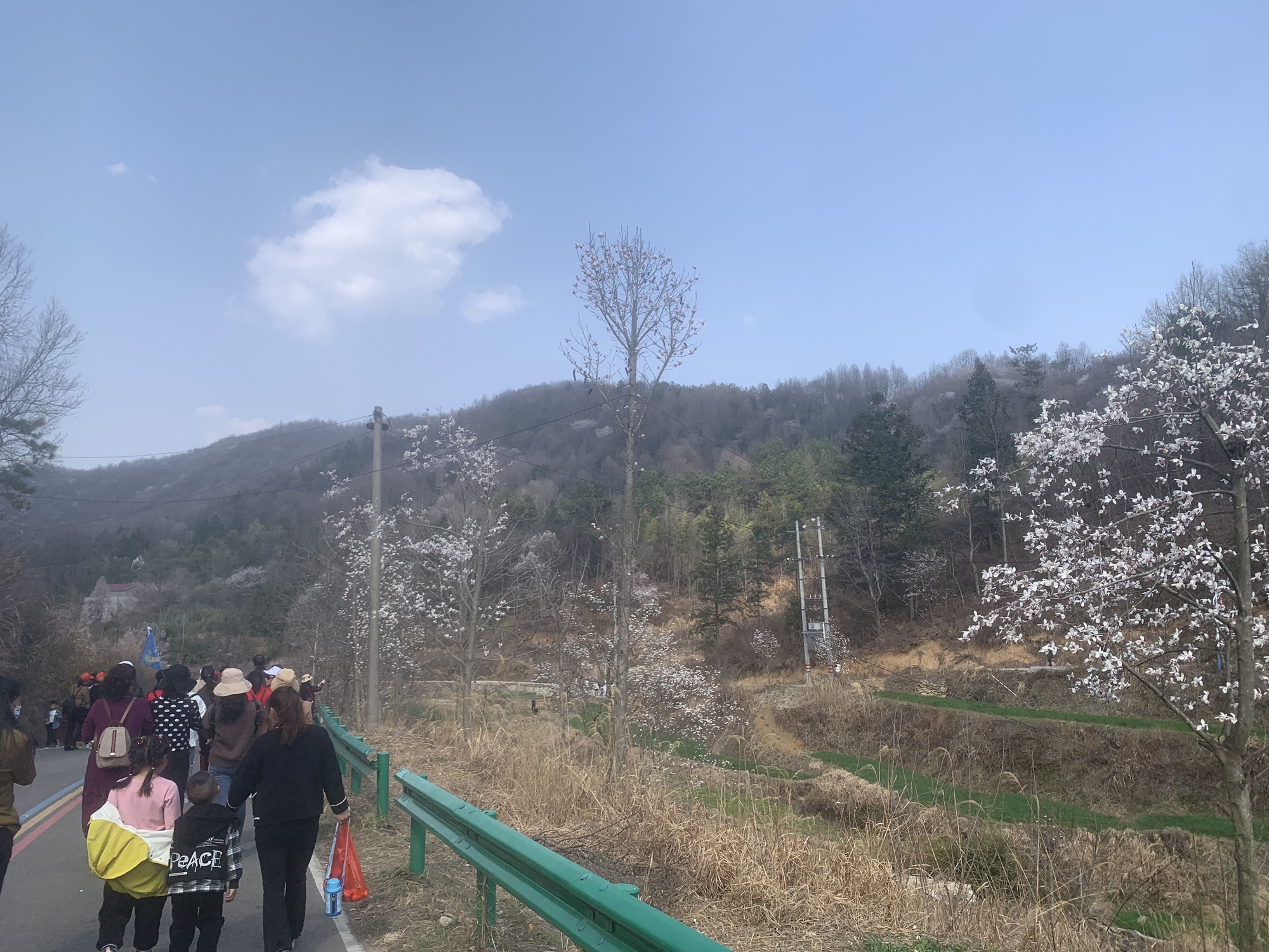 安徽金寨望春谷旅行图片 3