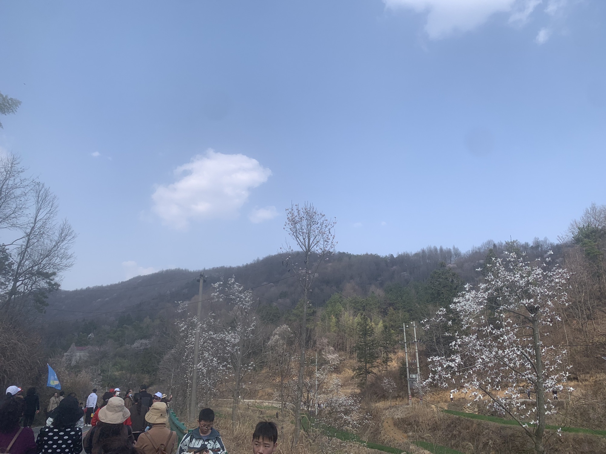 安徽金寨望春谷旅行图片 2
