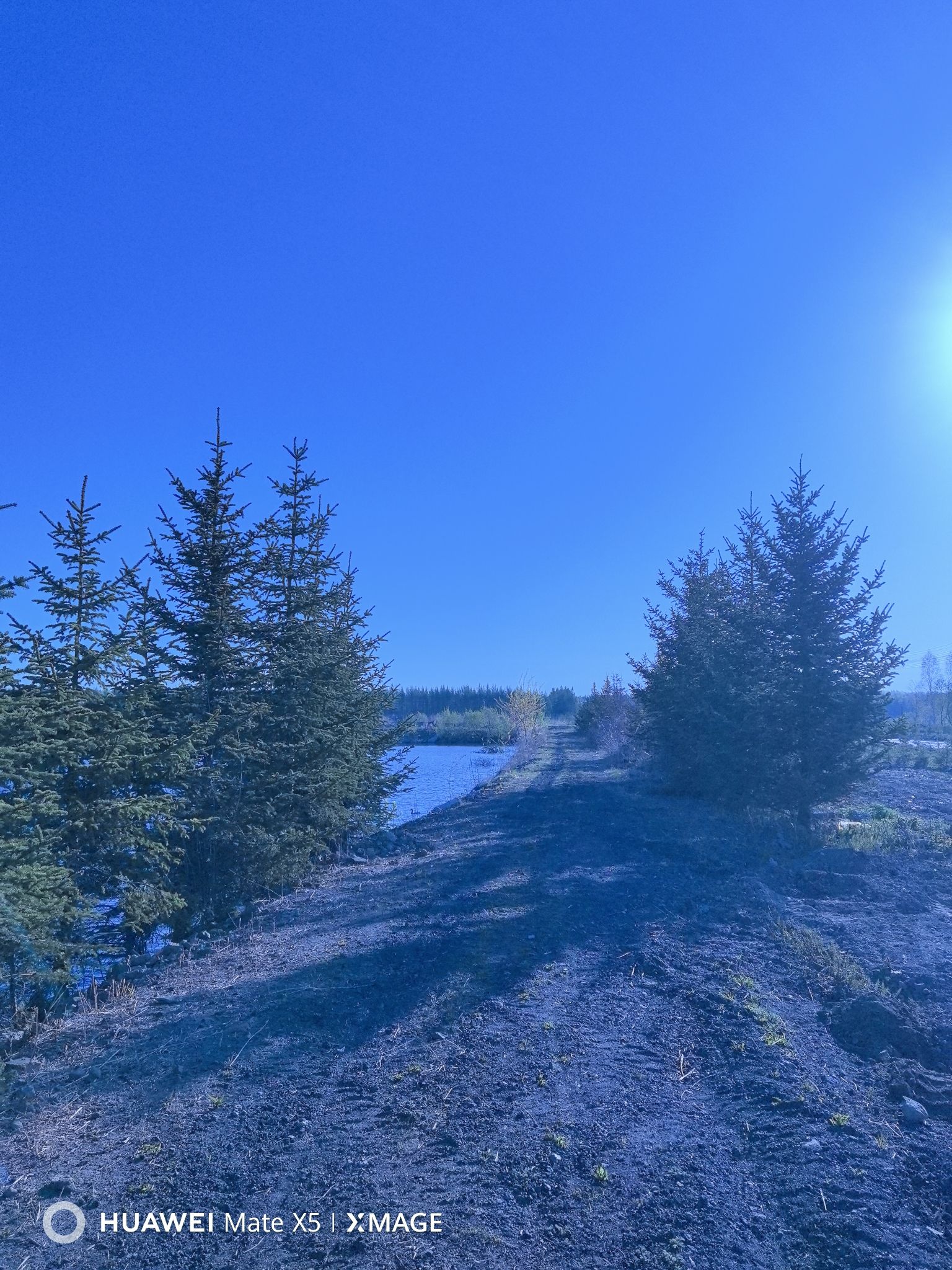 南湖生态植物园旅行图片 2
