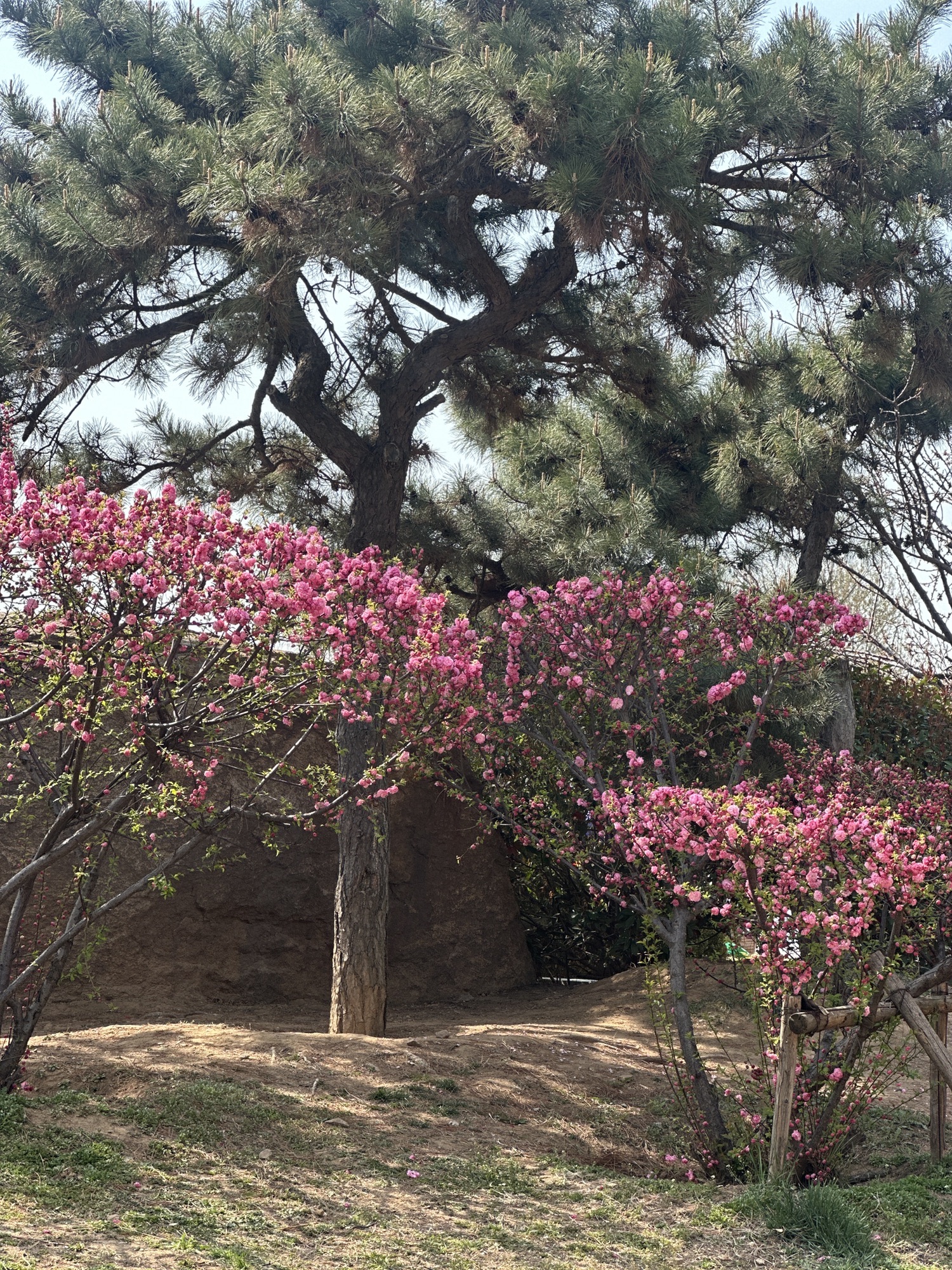 白云山公园旅行图片 2