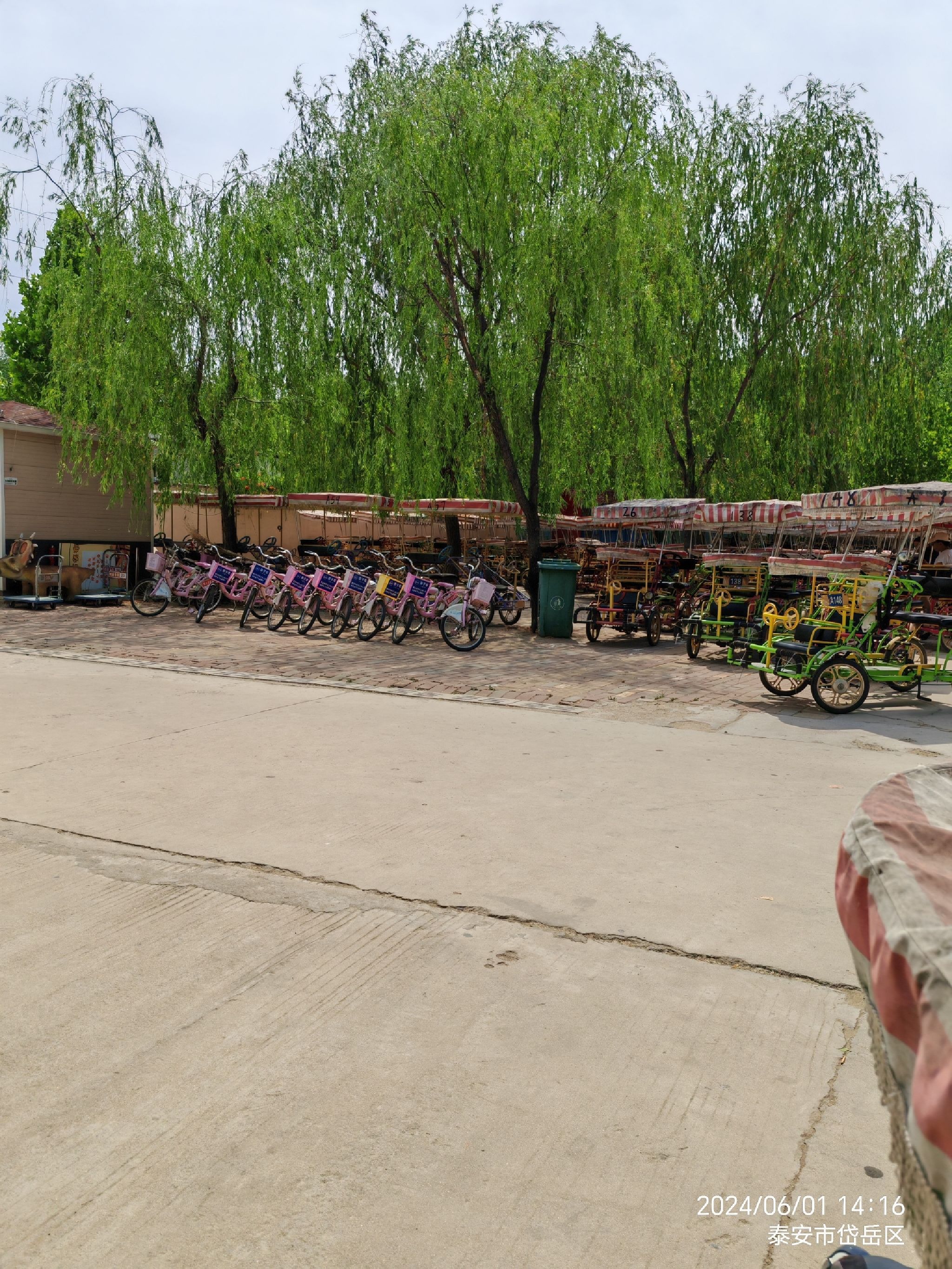 泰山天鹅湖景区旅行图片 1