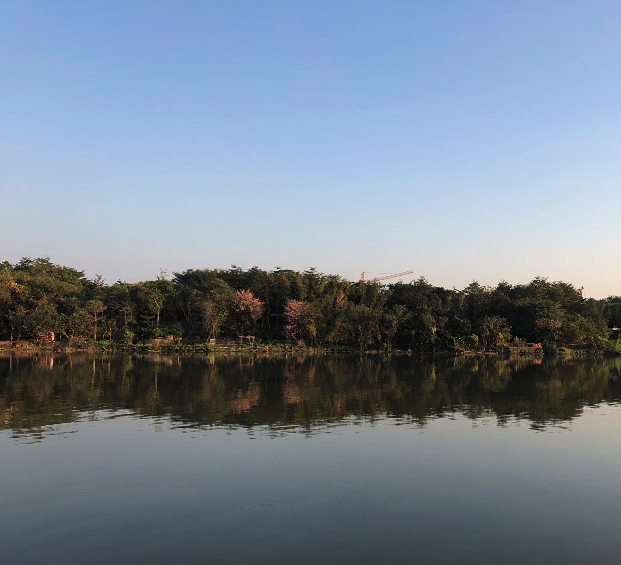 三江水韵公园旅行图片 2