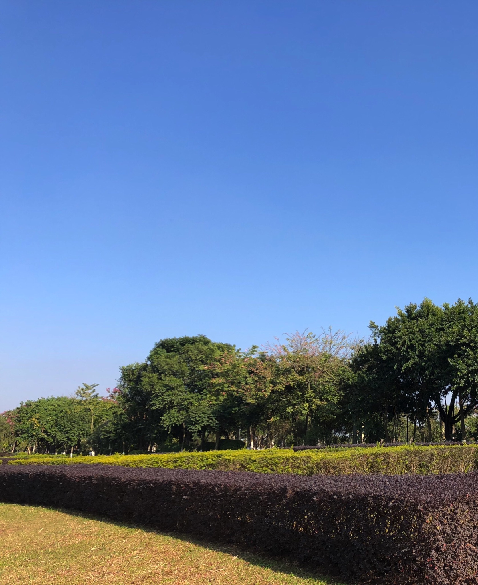三江水韵公园旅行图片 1