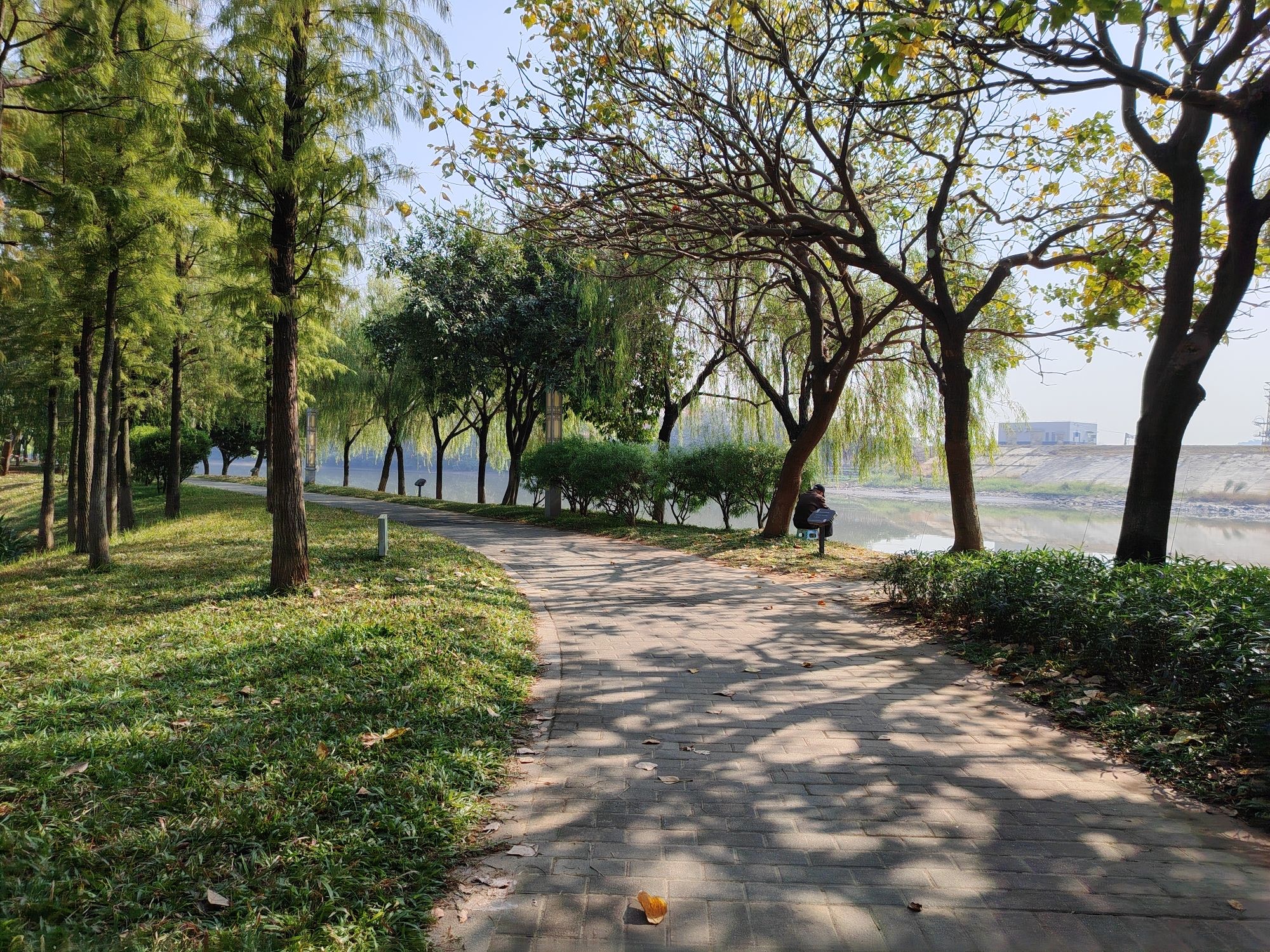 三江水韵公园旅行图片 2