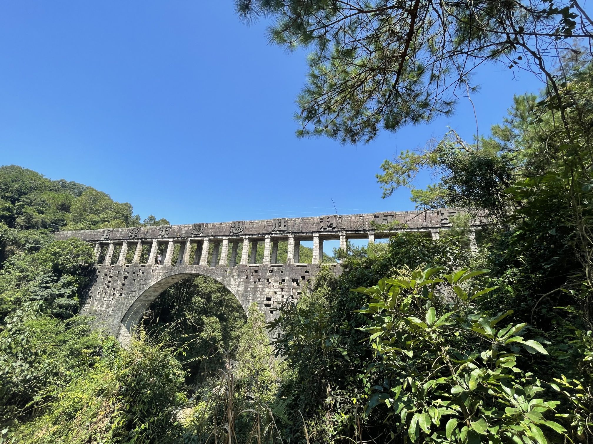 厦门莲花国家森林公园旅行图片 1