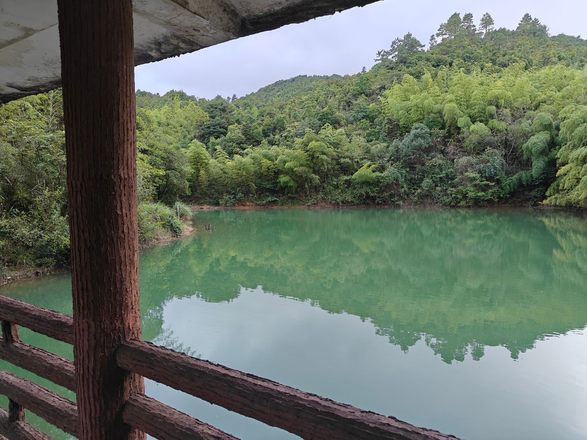 厦门莲花国家森林公园旅行图片 1