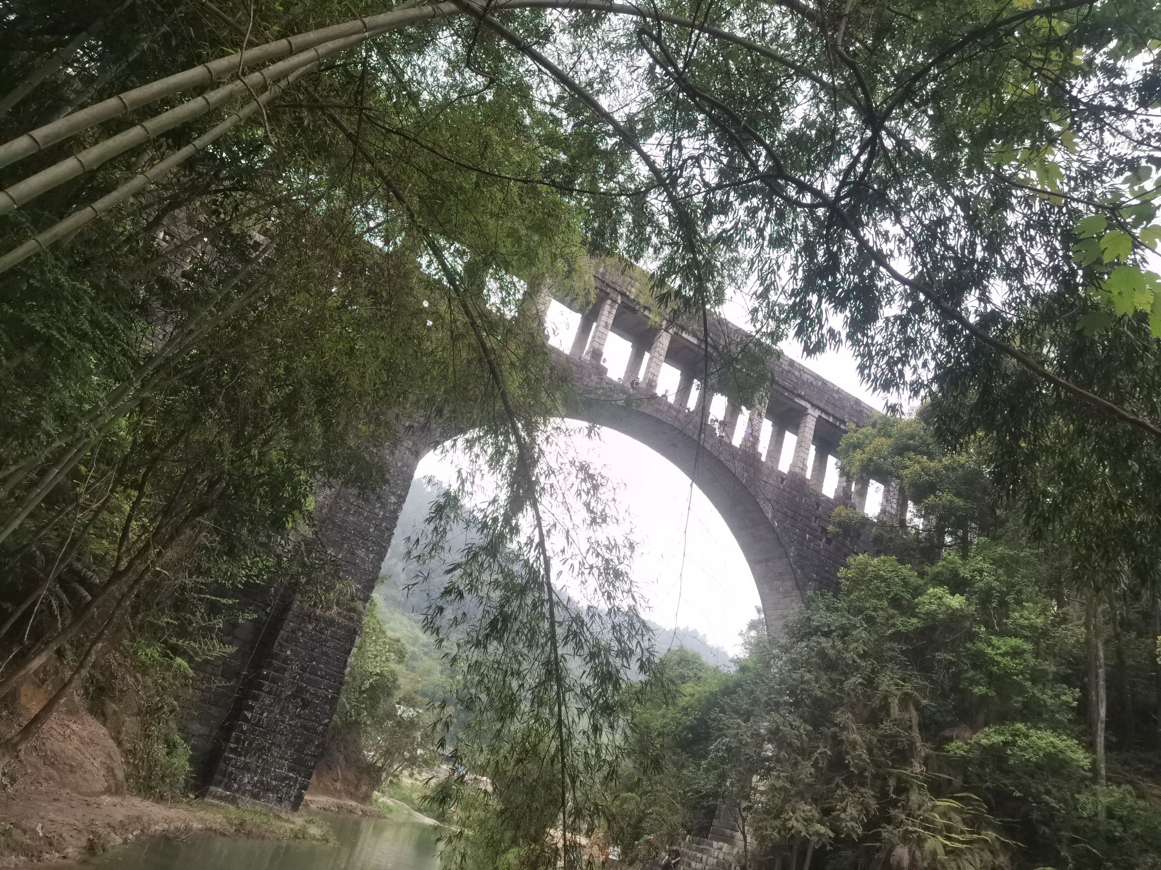 厦门莲花国家森林公园旅行图片 1