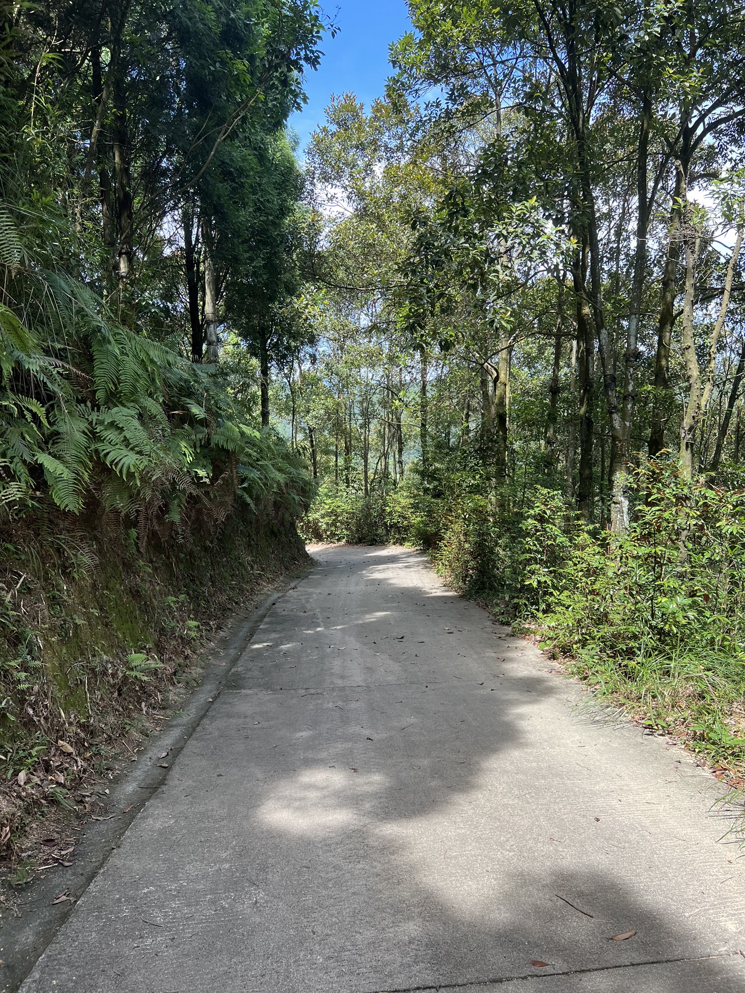厦门莲花国家森林公园旅行图片 2