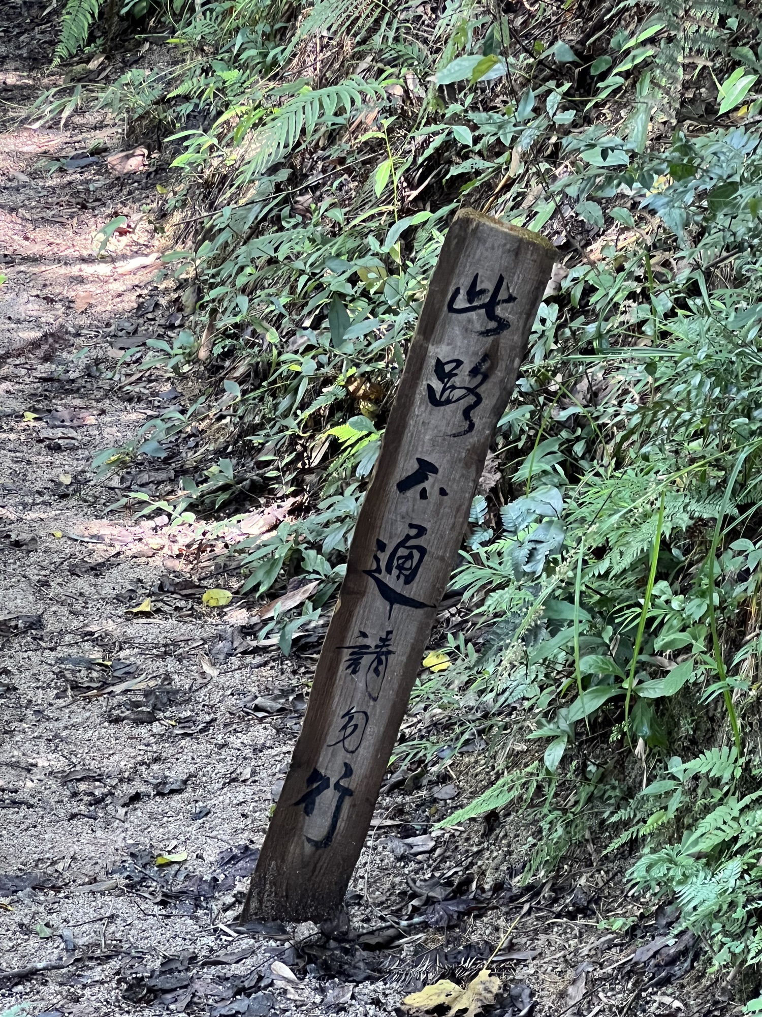 厦门莲花国家森林公园旅行图片 3