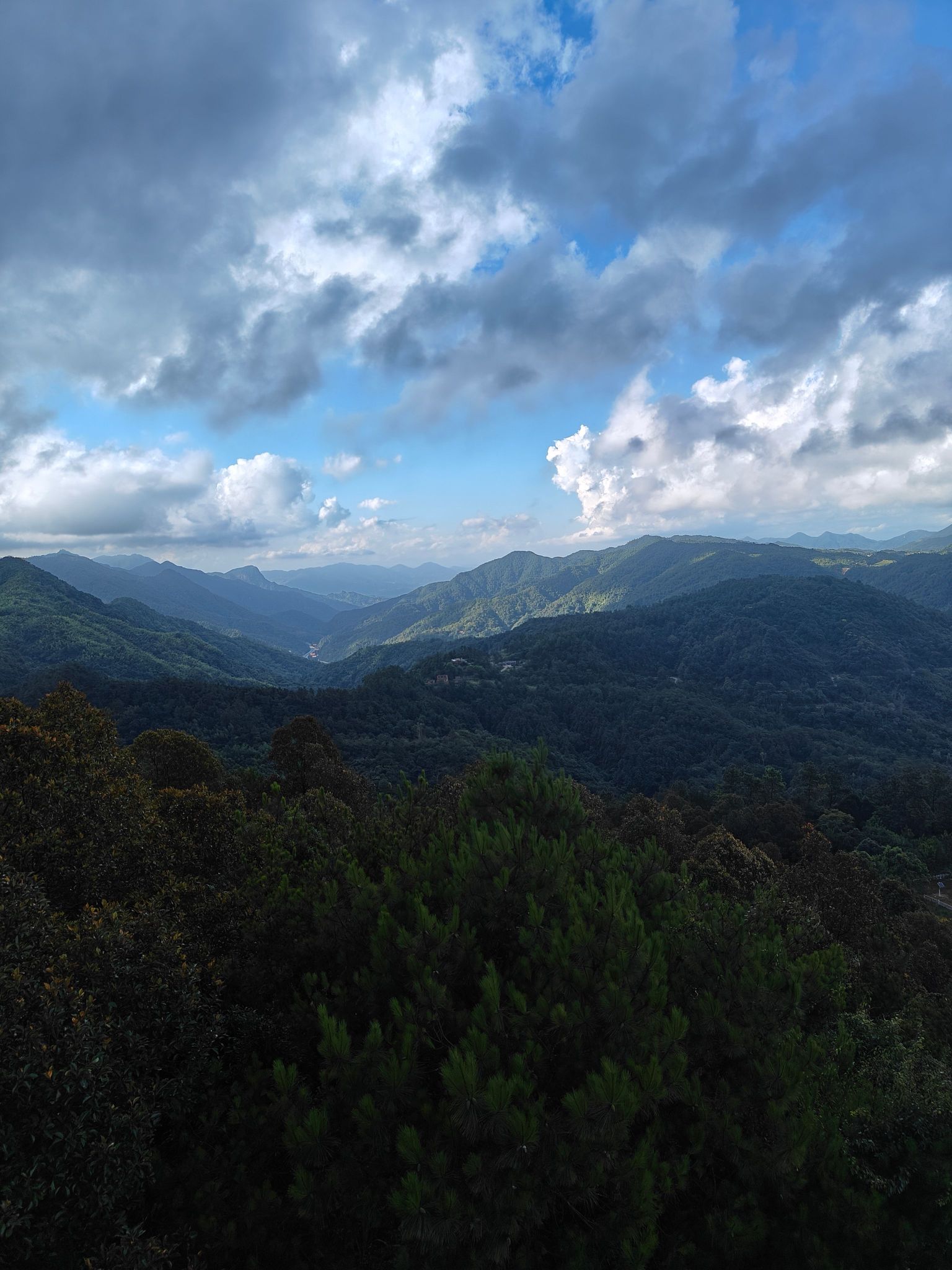 厦门莲花国家森林公园旅行图片 3