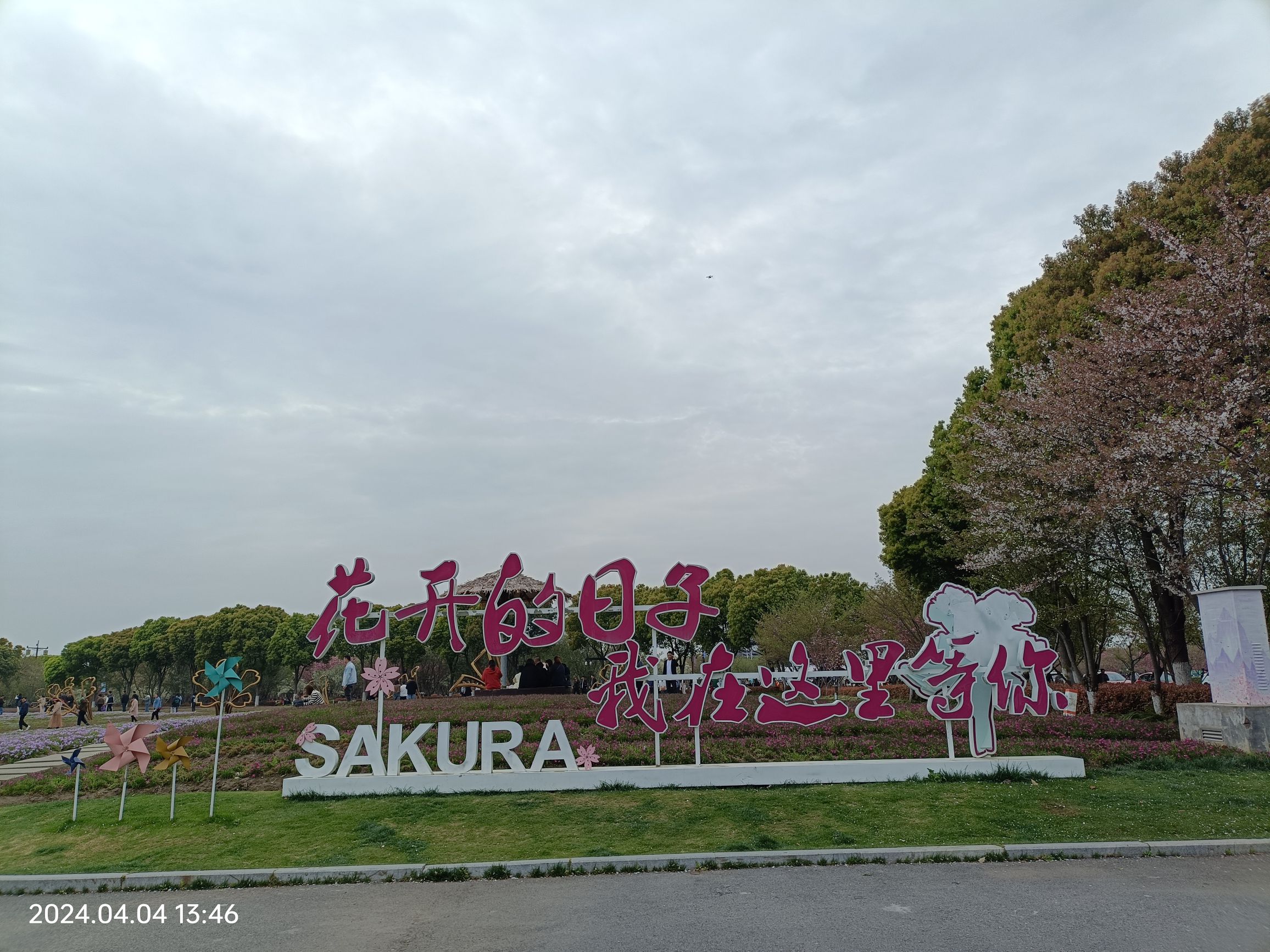 钟埭樱花小镇旅行图片 1