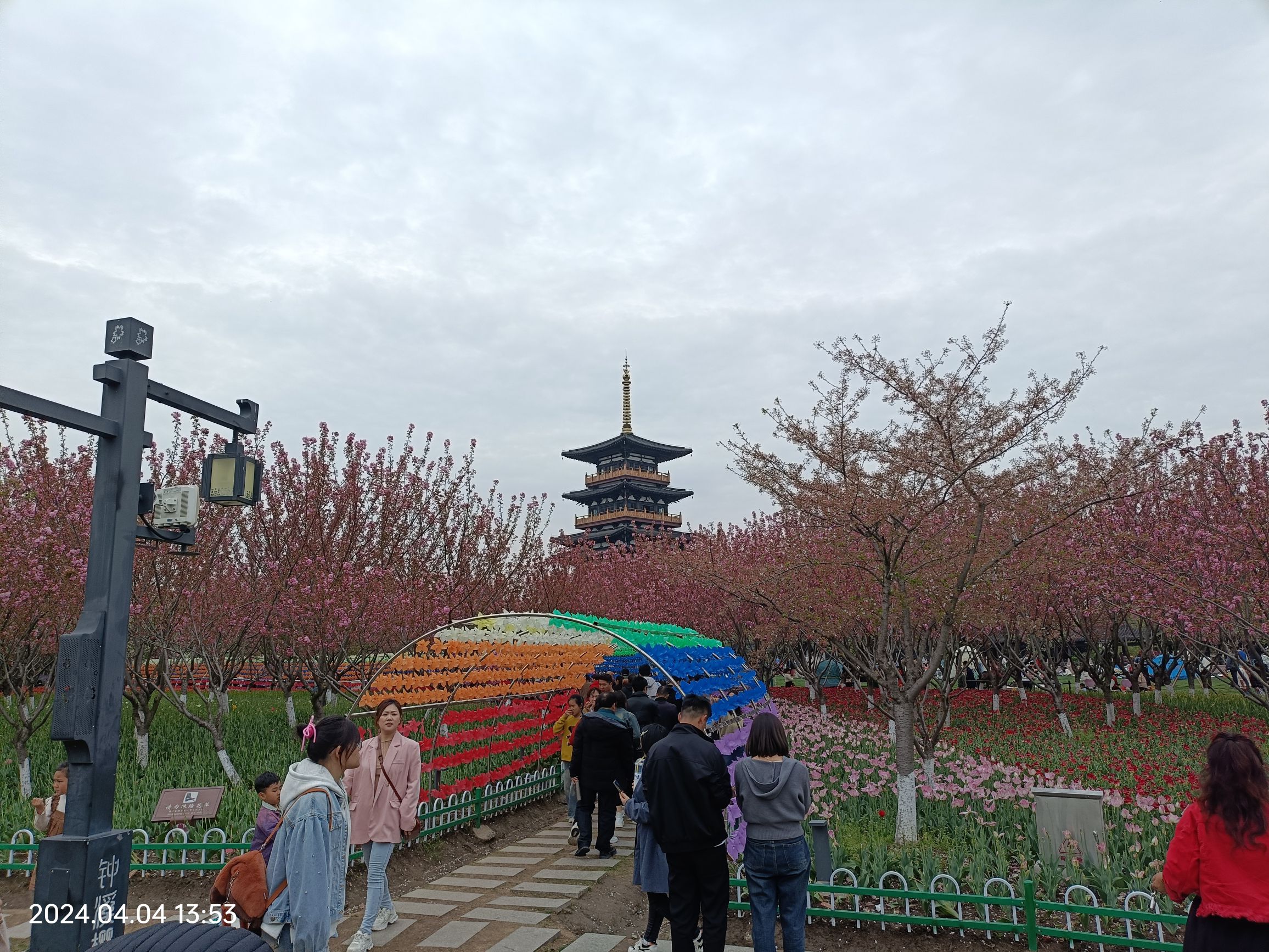 钟埭樱花小镇旅行图片 2