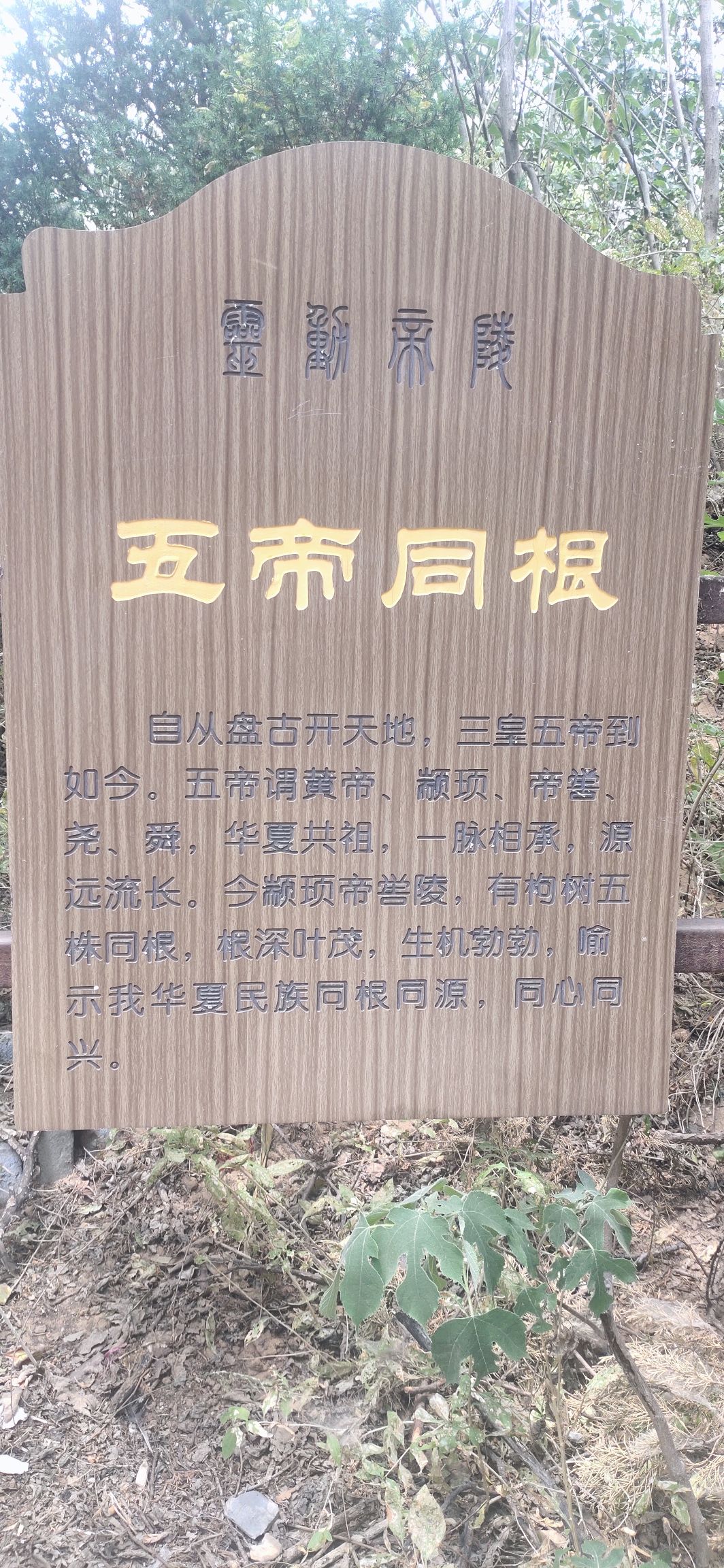 颛顼帝喾陵旅行图片 2
