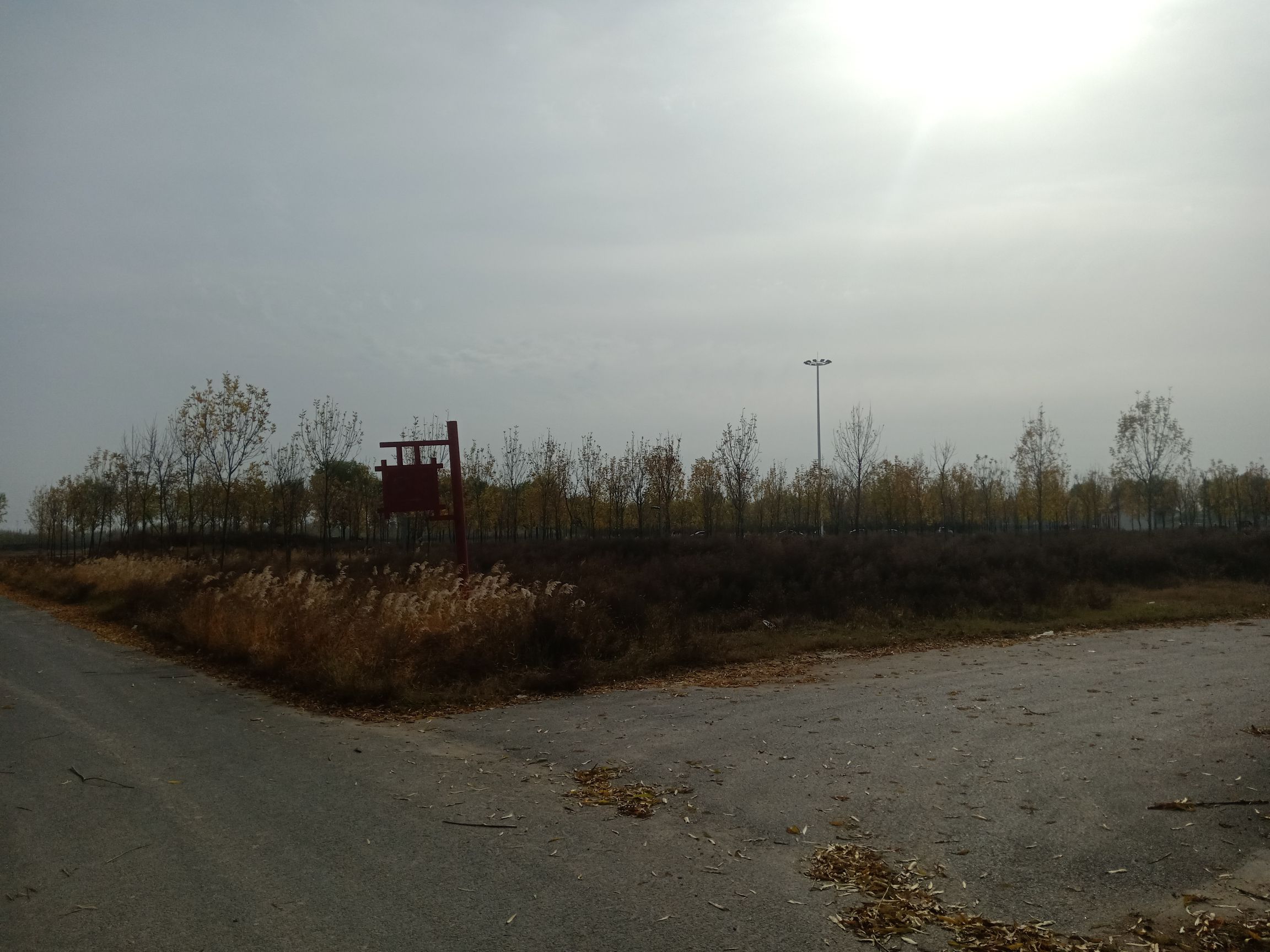 颛顼帝喾陵旅行图片 3