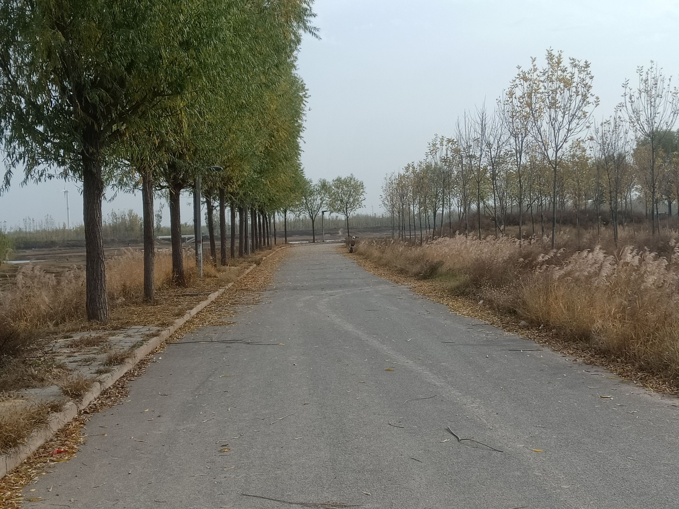 颛顼帝喾陵旅行图片 1