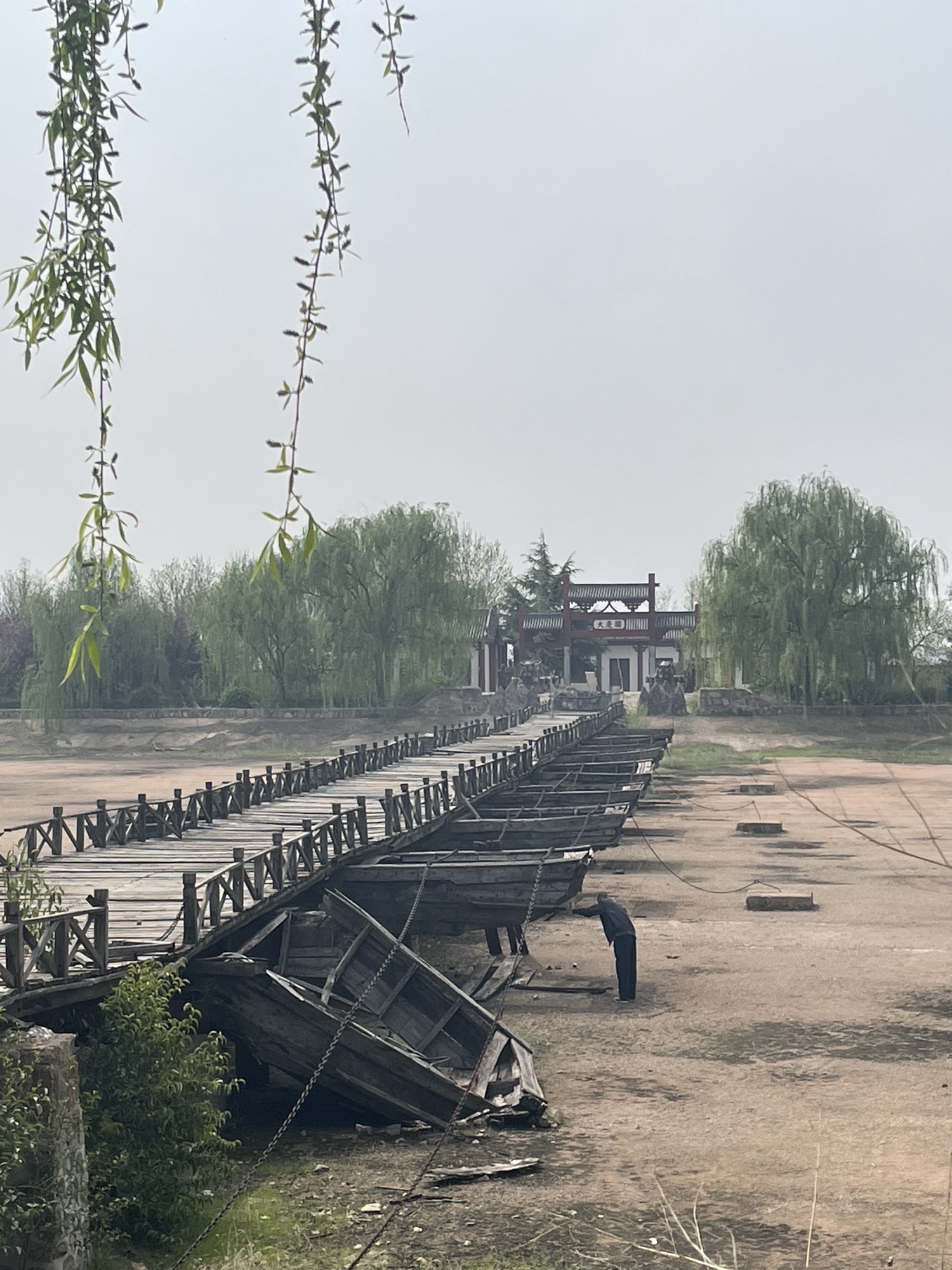 永济黄河滩旅行图片 1