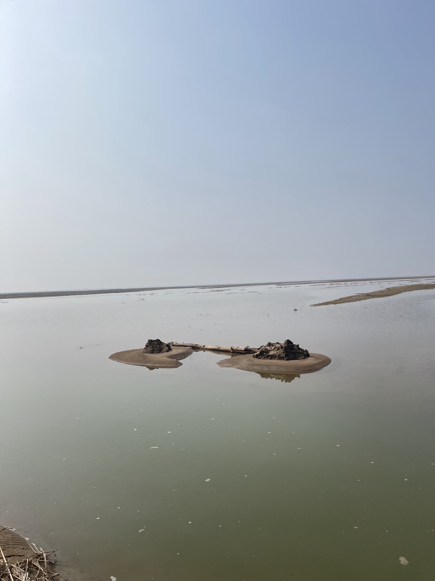 永济黄河滩旅行图片 2