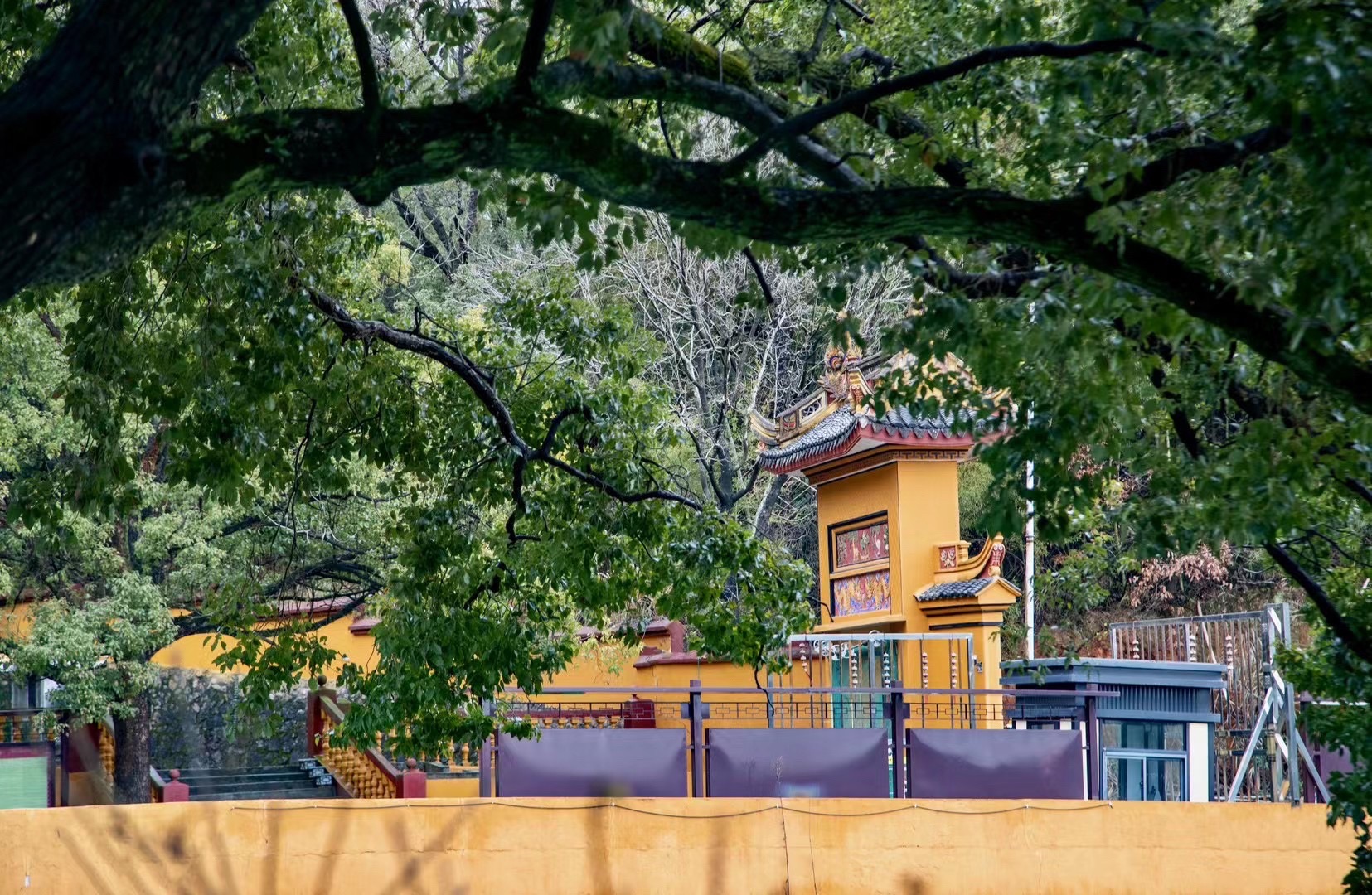净圡禅院