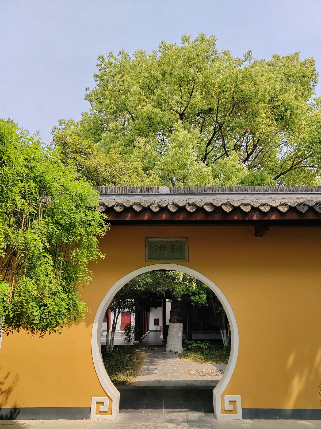 金山公园-金山文化博览园