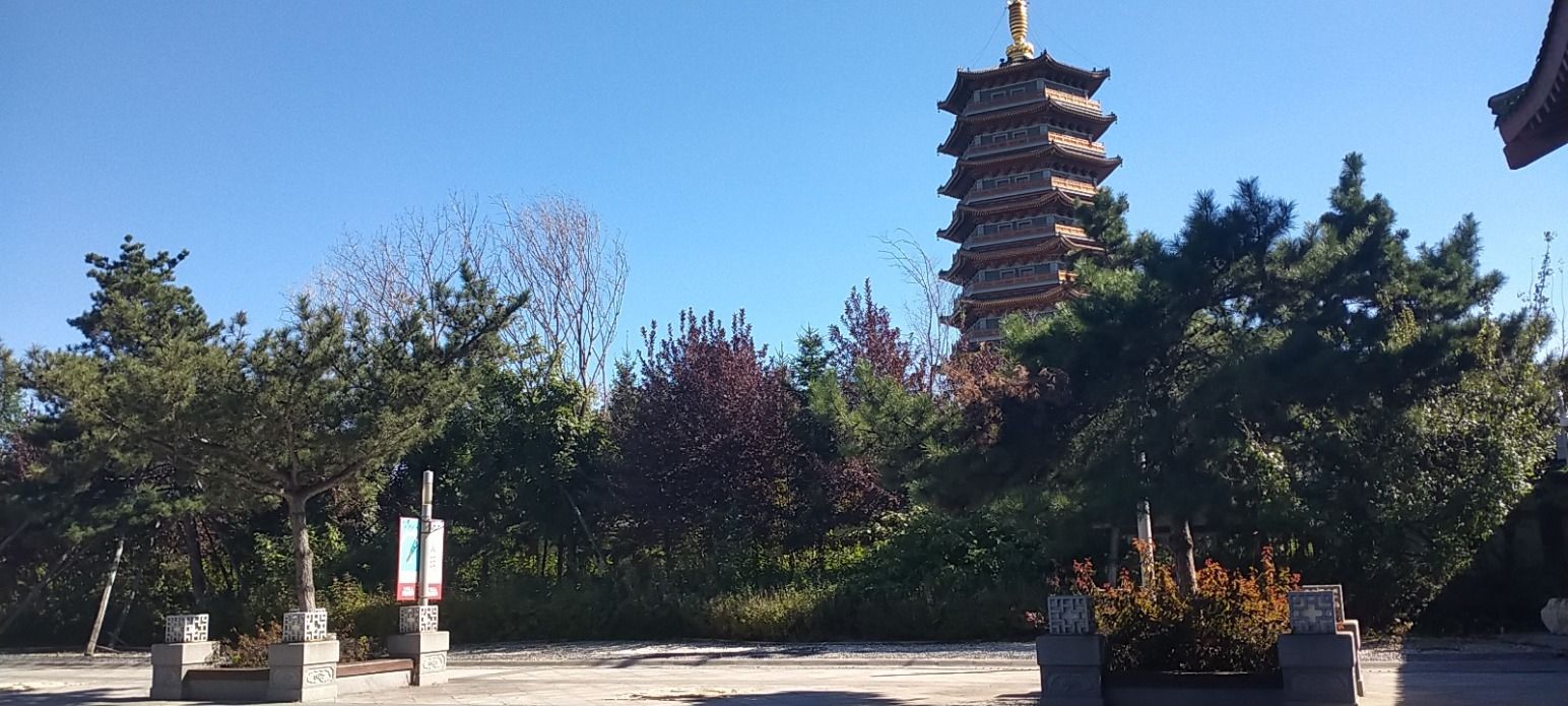 长春东北亚黄金纽带文化园旅行图片 3