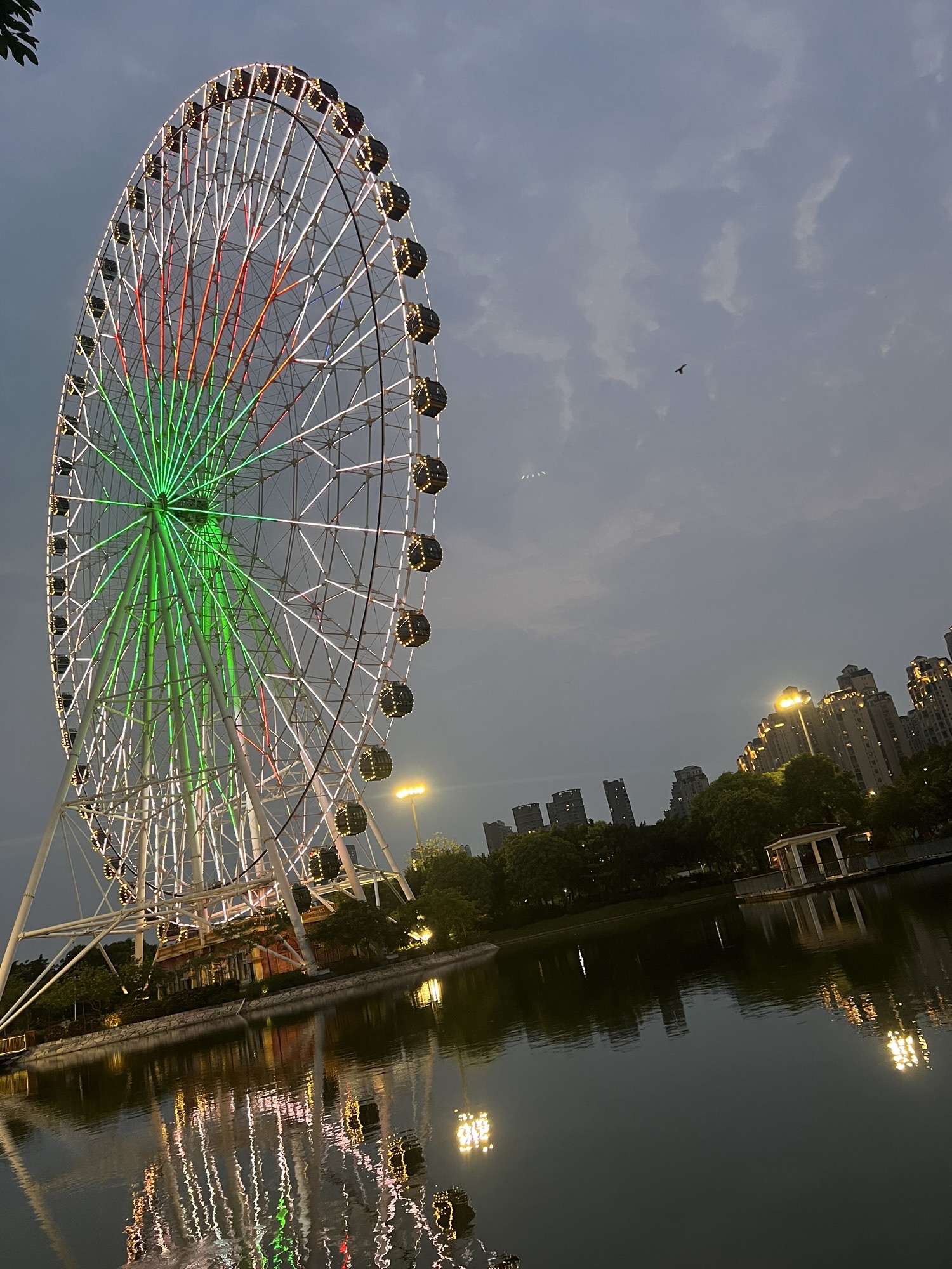 儿童公园旅行图片 2