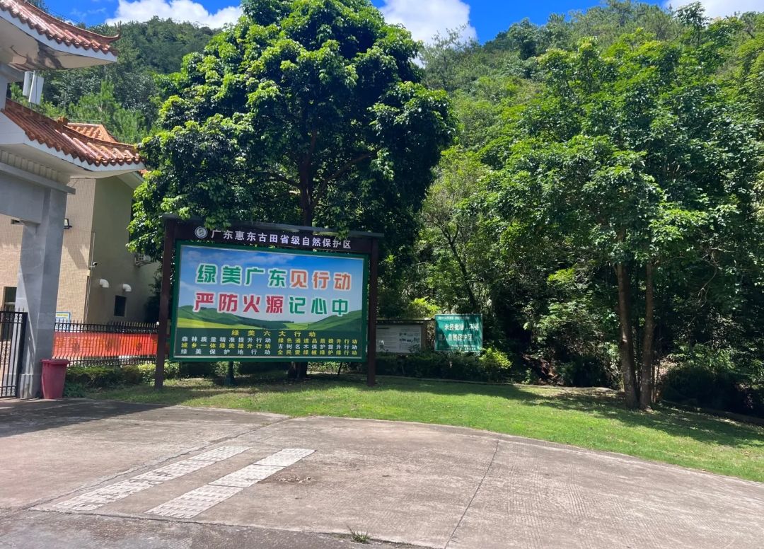 广东惠东古田省级自然保护区(不对外开放)旅行图片 2