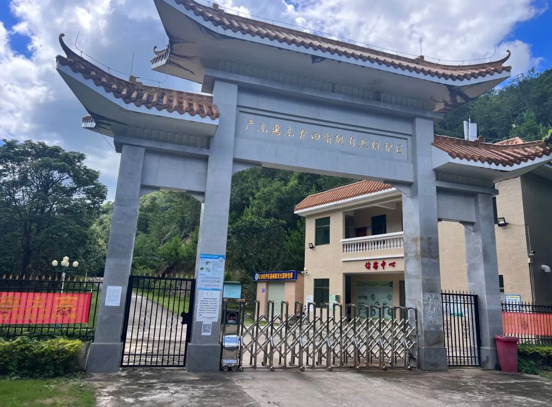 广东惠东古田省级自然保护区(不对外开放)旅行图片 3