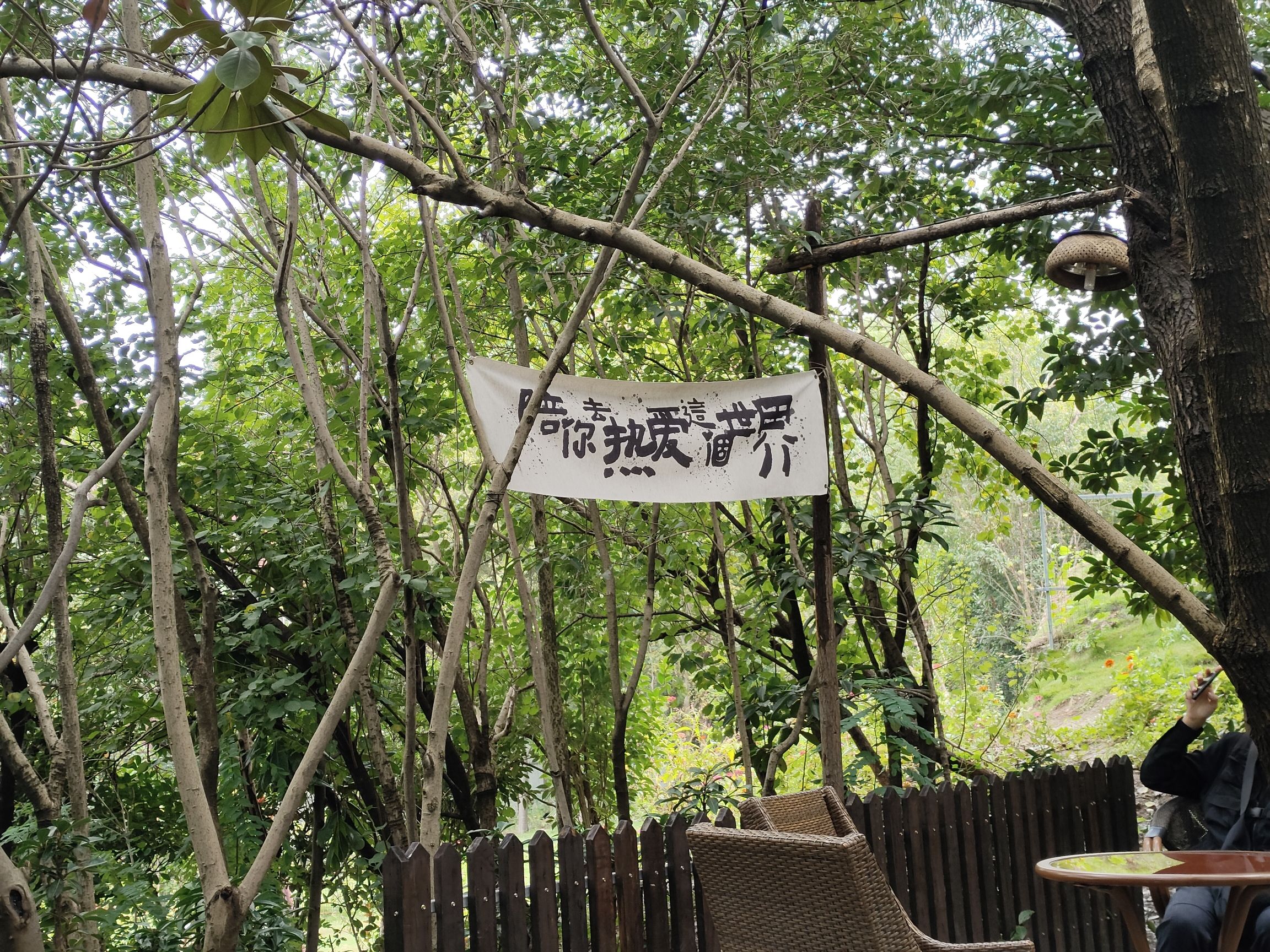 刘园古徽州文化园旅行图片 3