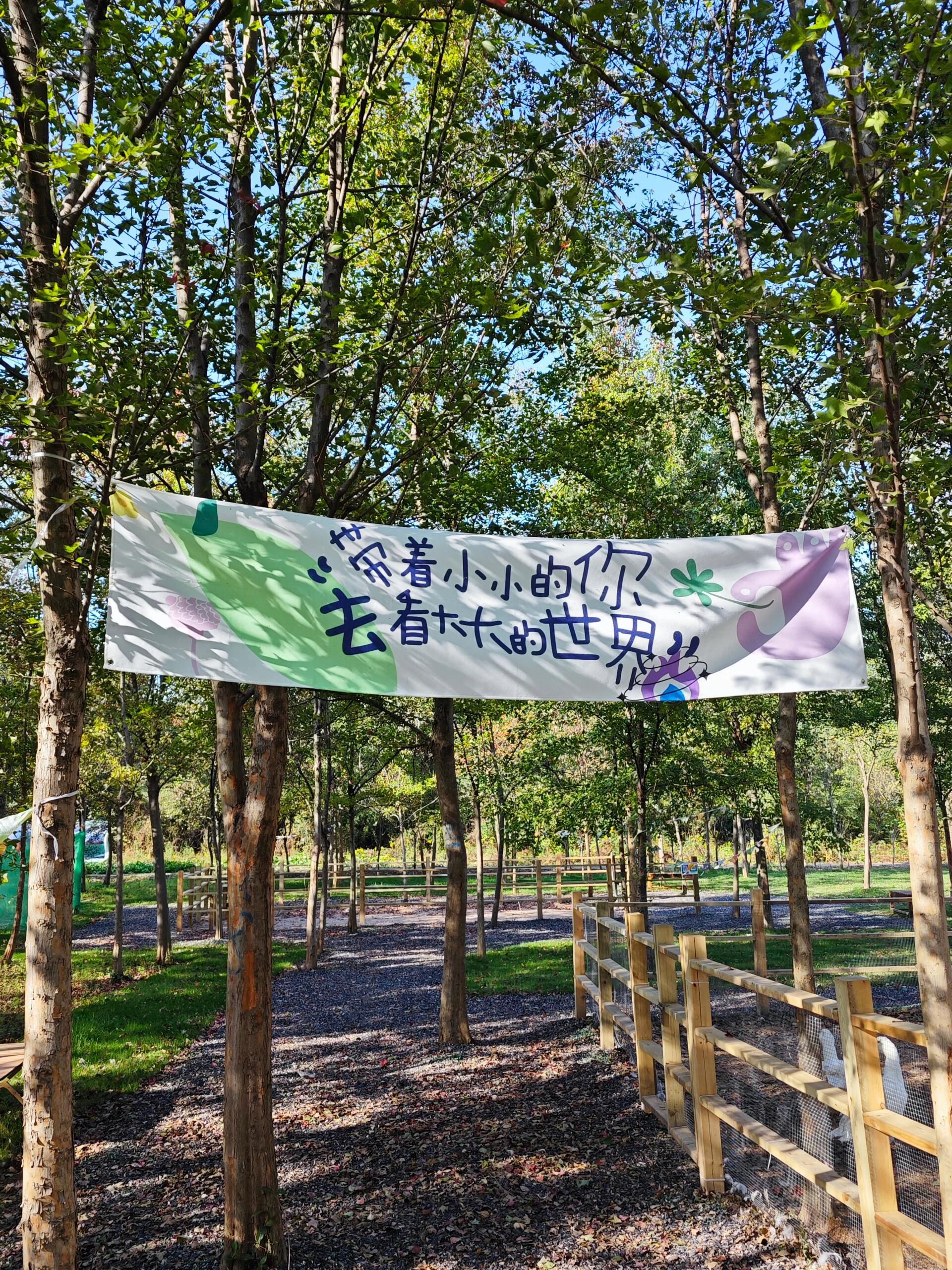 刘园古徽州文化园旅行图片 3