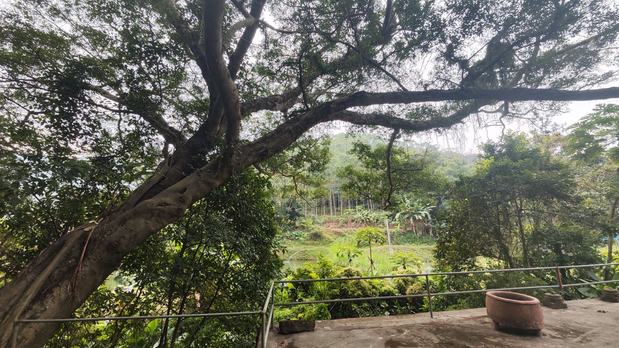 龙口粉洞知青场旅行图片 1