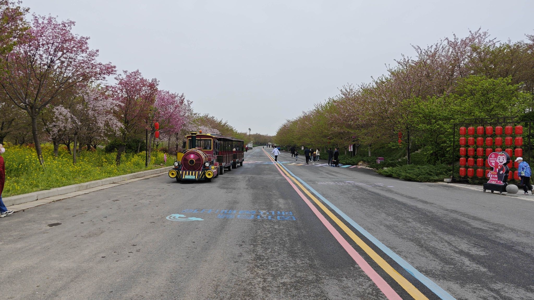 丰乐樱花园旅行图片 3