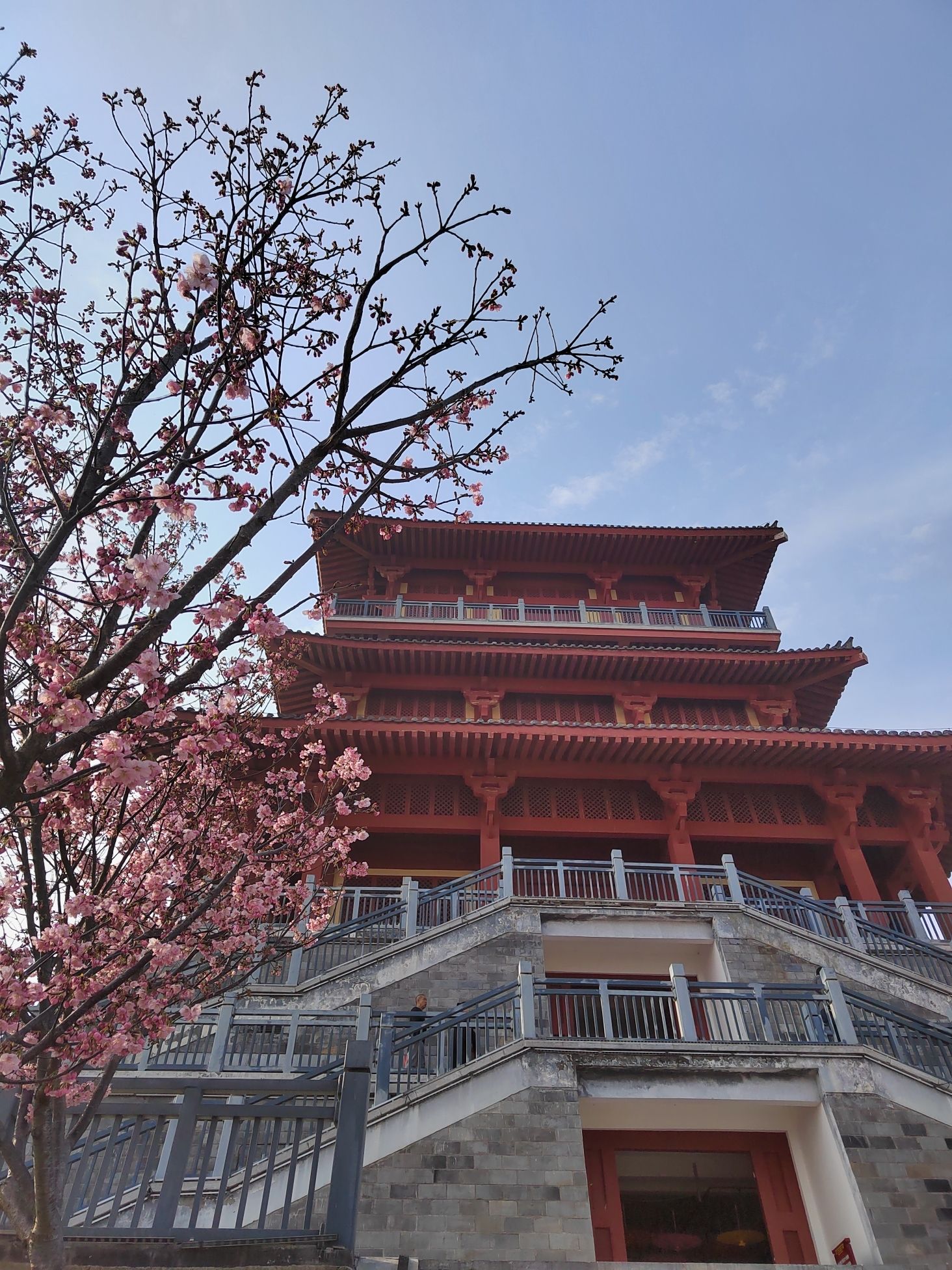 丰乐樱花园旅行图片 3