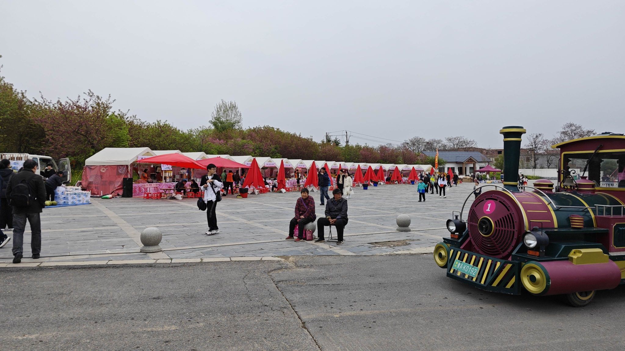 丰乐樱花园旅行图片 2