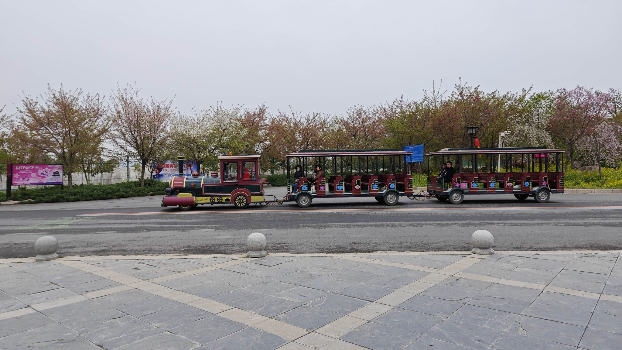 丰乐樱花园旅行图片 1